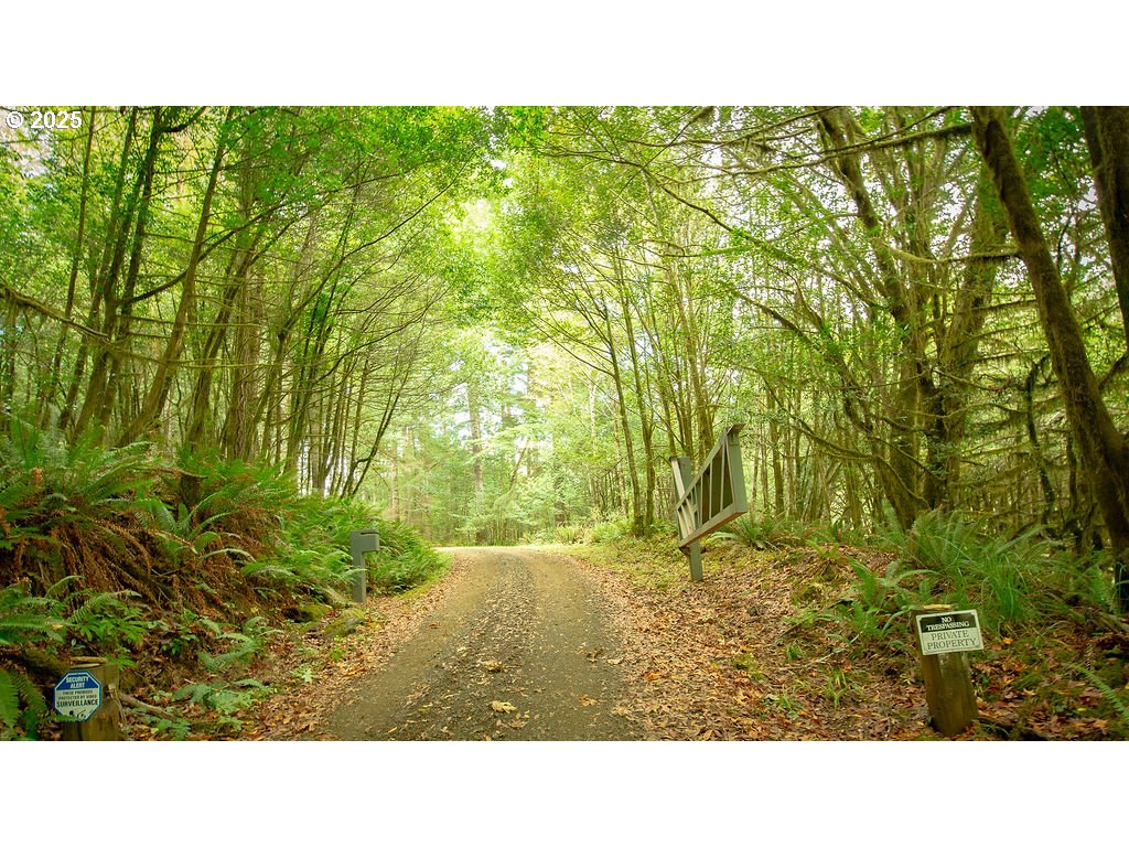 63450 Fairview Road Coquille, OR 97423 - Photo 8 of 37 a picture of a yard