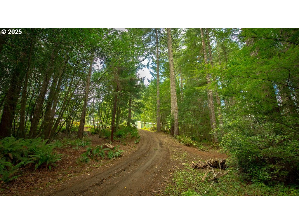 63450 Fairview Road Coquille, OR 97423 - Photo 9 of 37 a view of a backyard
