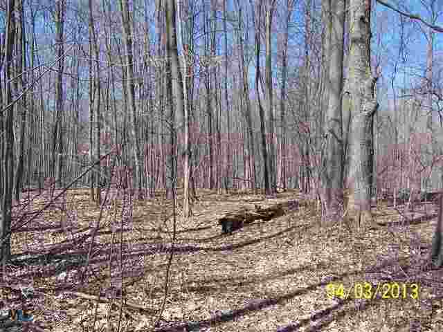 0 Foley Emmett, MI 48022 - Photo 3 of 3 31142213-2.JPG