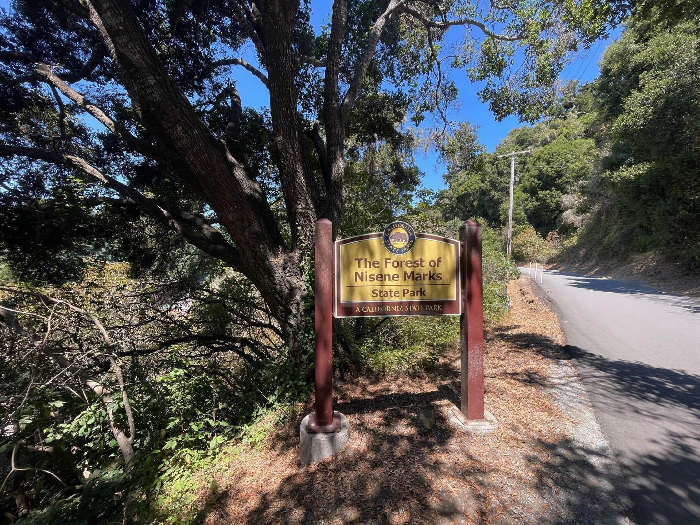 355 Village Creek Road Aptos, CA 95003 - Photo 32 of 41 a view of a yard with plants and large trees