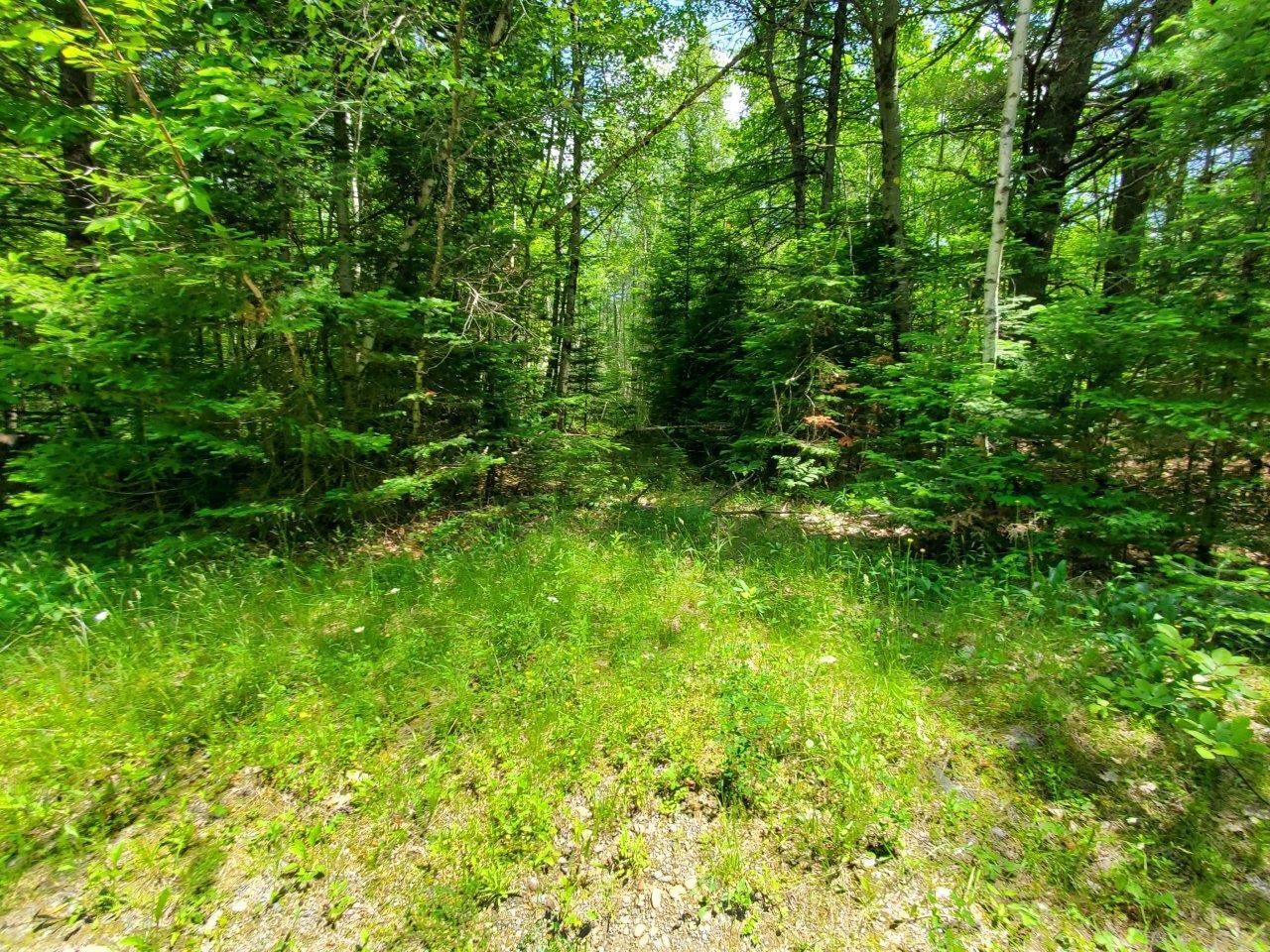 0 Morgan Road Burnham, ME 04922 - Photo 19 of 69 20250617_123946