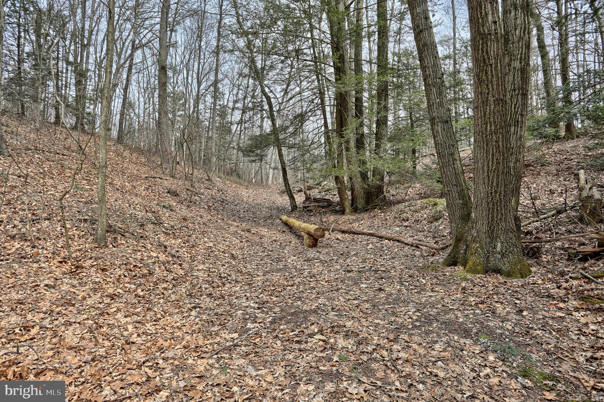 31 Ridge Road Jonestown, PA 17038 - Photo 23 of 28 Gallery Image 23