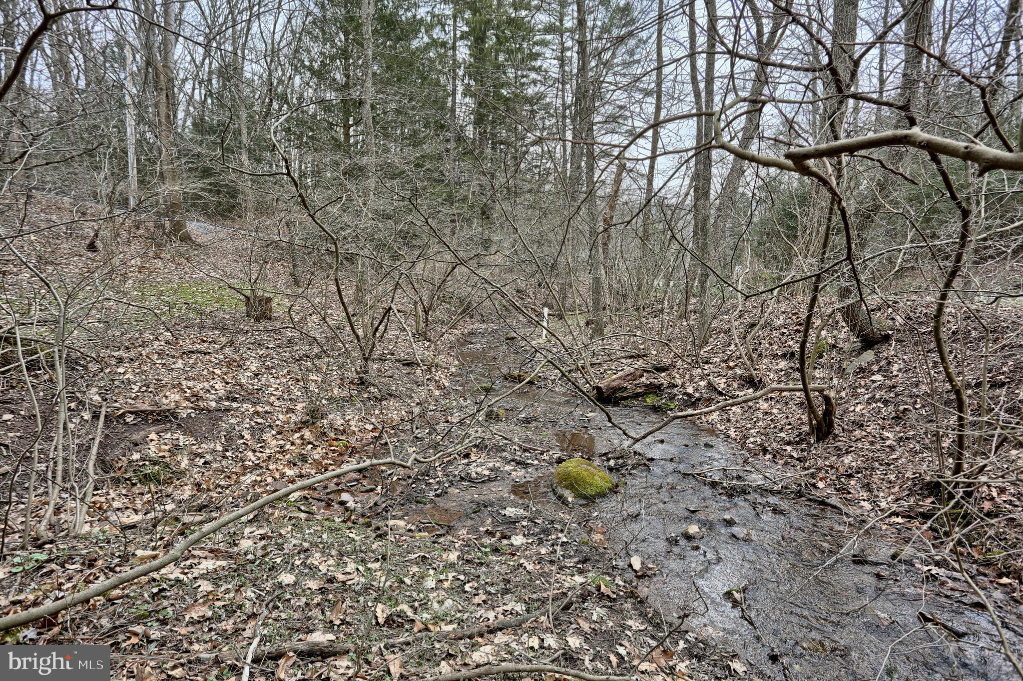 31 Ridge Road Jonestown, PA 17038 - Photo 27 of 28 Gallery Image 27