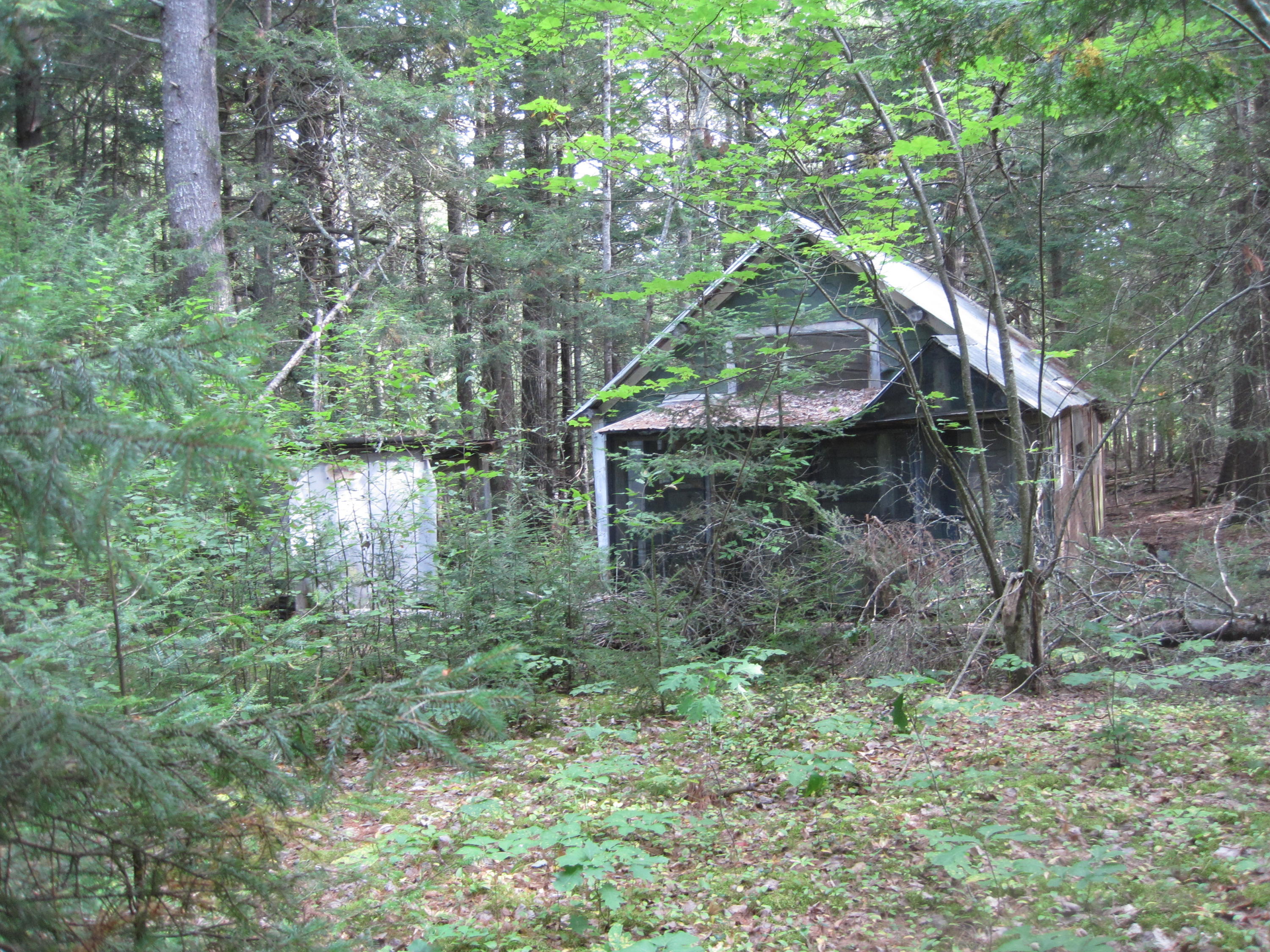 40 Pickerel Pond Road Greenbush, ME 04418 - Photo 1 of 8 IMG_0061