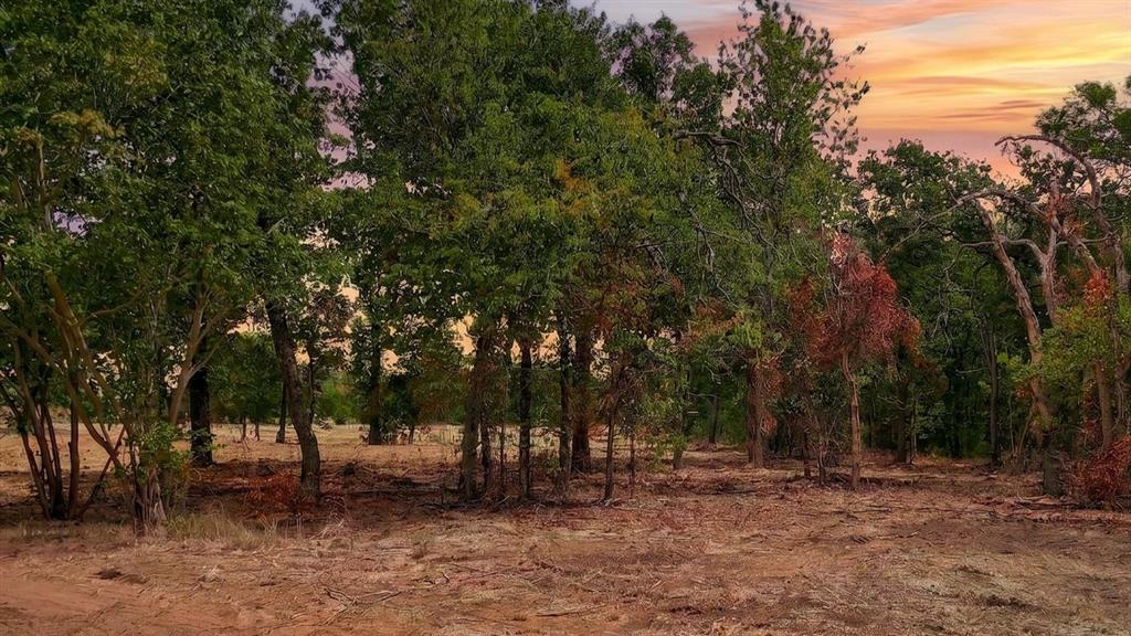1347 Johnson Road Keller, TX 76248 - Photo 4 of 18 Additional content