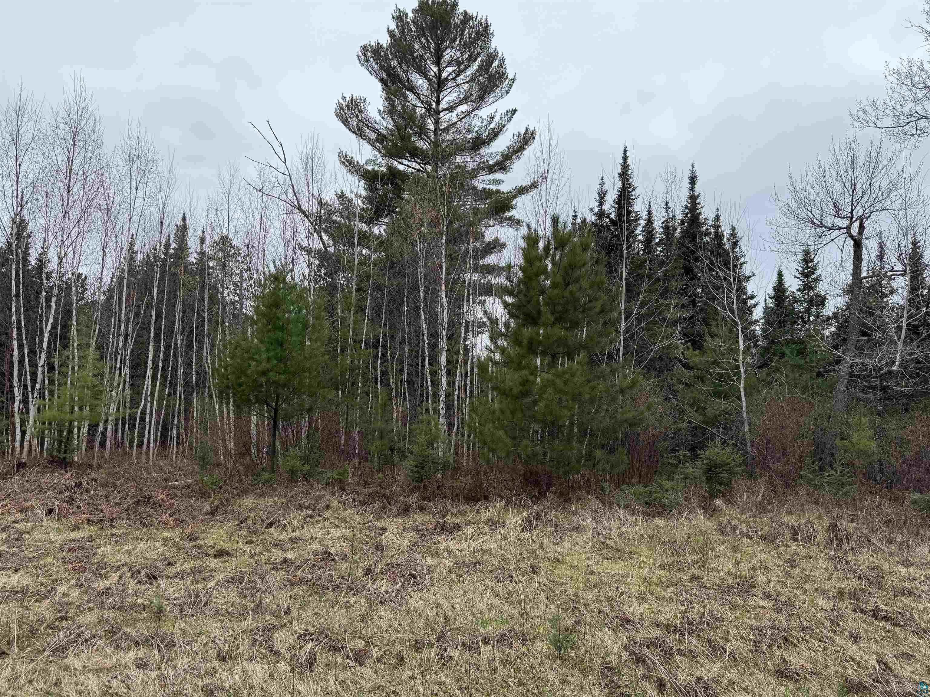 Tbd Scout Camp Road Eveleth, MN 55734 - Photo 8 of 15
