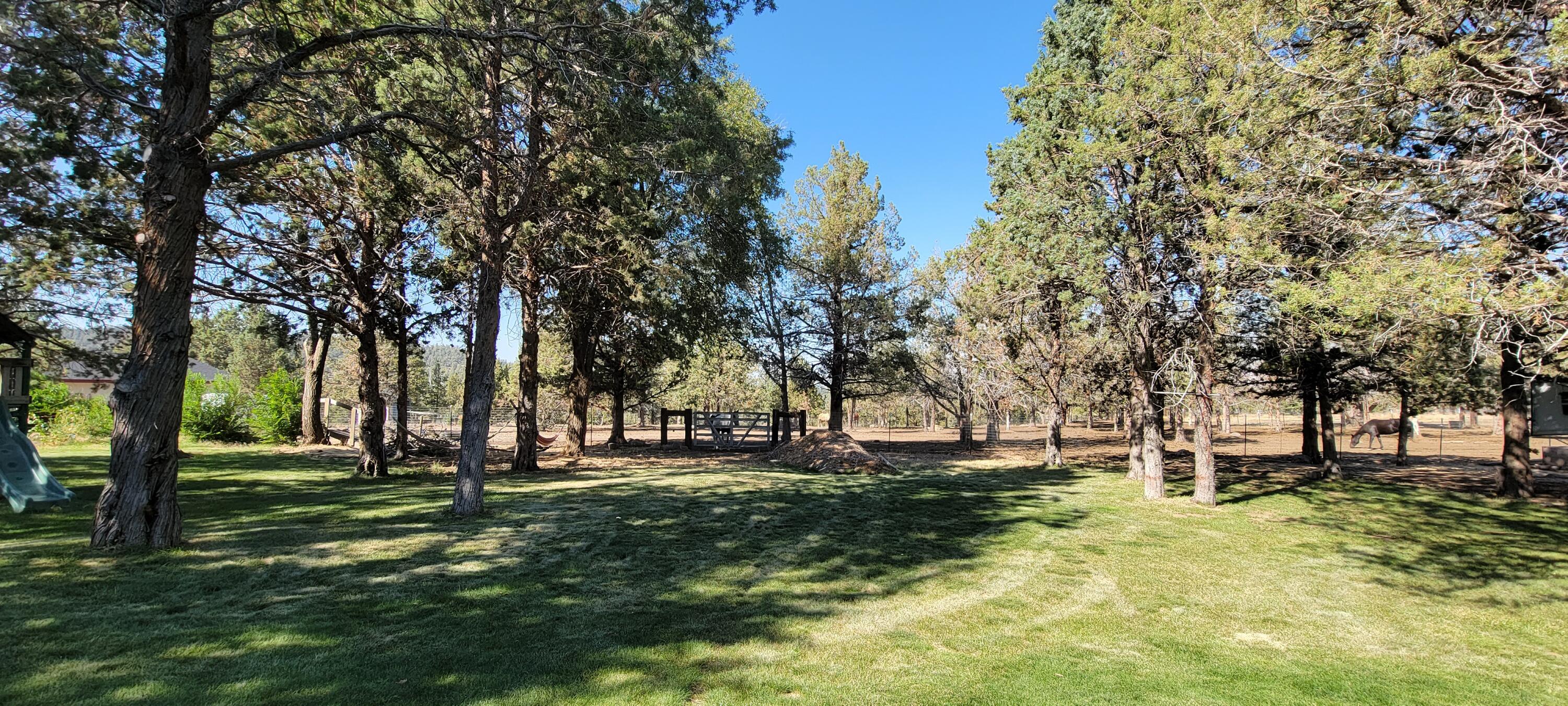 64570 Research Road Bend, OR 97703 - Photo 34 of 60 Lawn & Pasture
