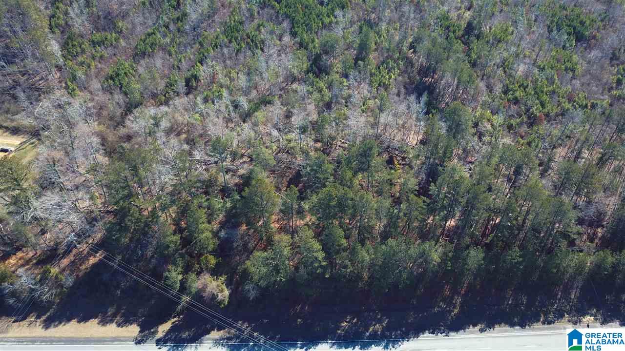 0 Highway 75, Unit 29 38 Oneonta, AL 35121 - Photo 11 of 30