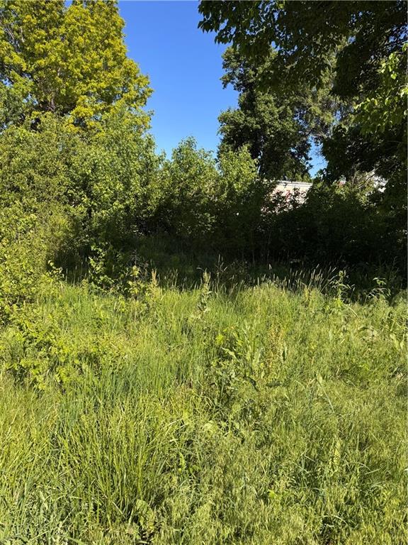 Na N/a Levasy, MO 64066 - Photo 2 of 3