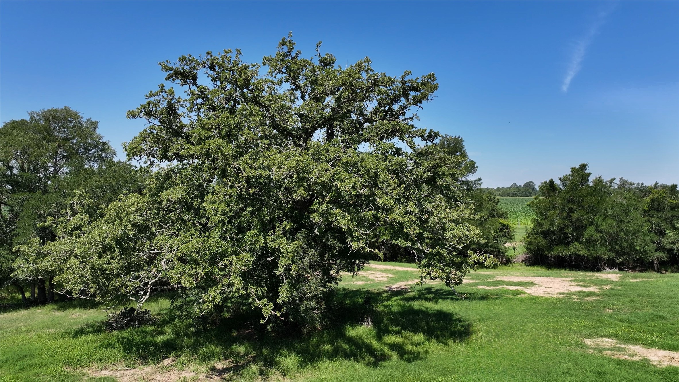 Tbd Warda Church Road Giddings, TX 78942 - Photo 3 of 29