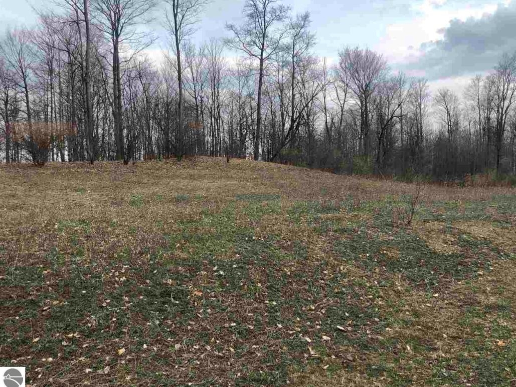 6518 Florey's Ranch Road, Unit LOT: 9 Grawn, MI 49637 - Photo 3 of 6