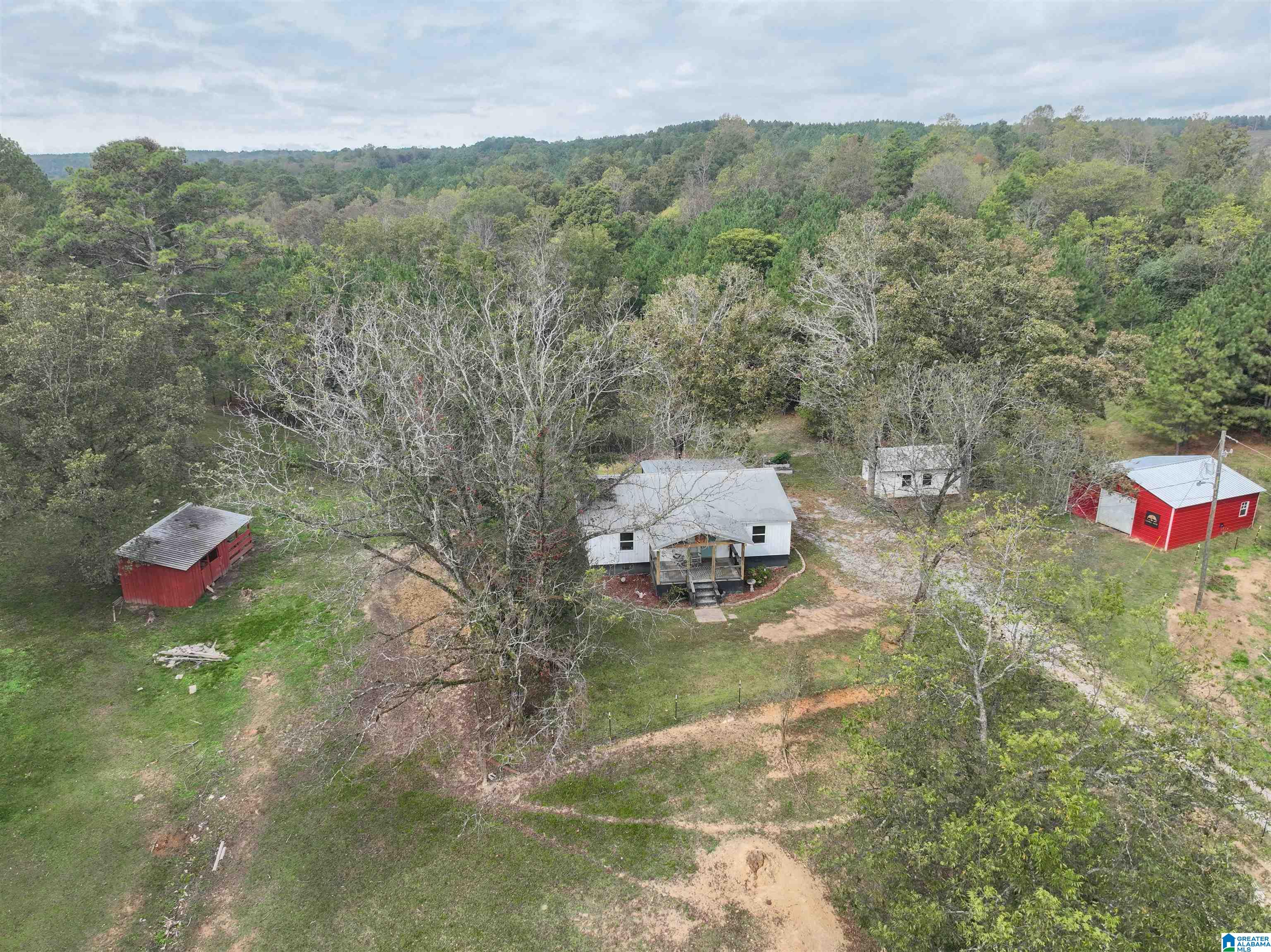 633 Macedonia Road Ragland, AL 35131 - Photo 44 of 52
