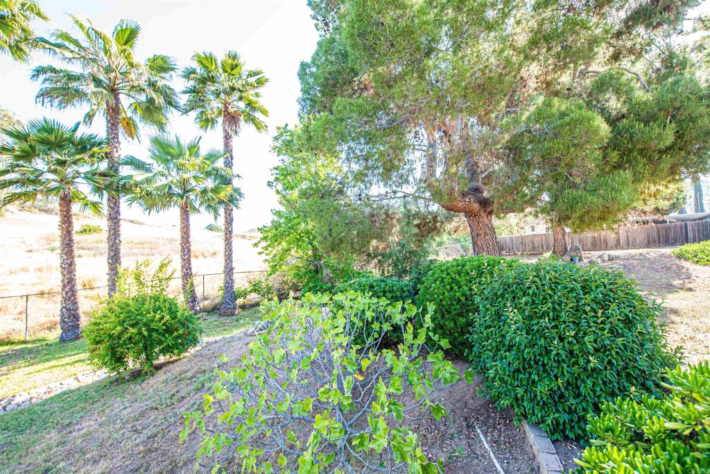 2432 Live Oak Road Escondido, CA 92029 - Photo 57 of 74