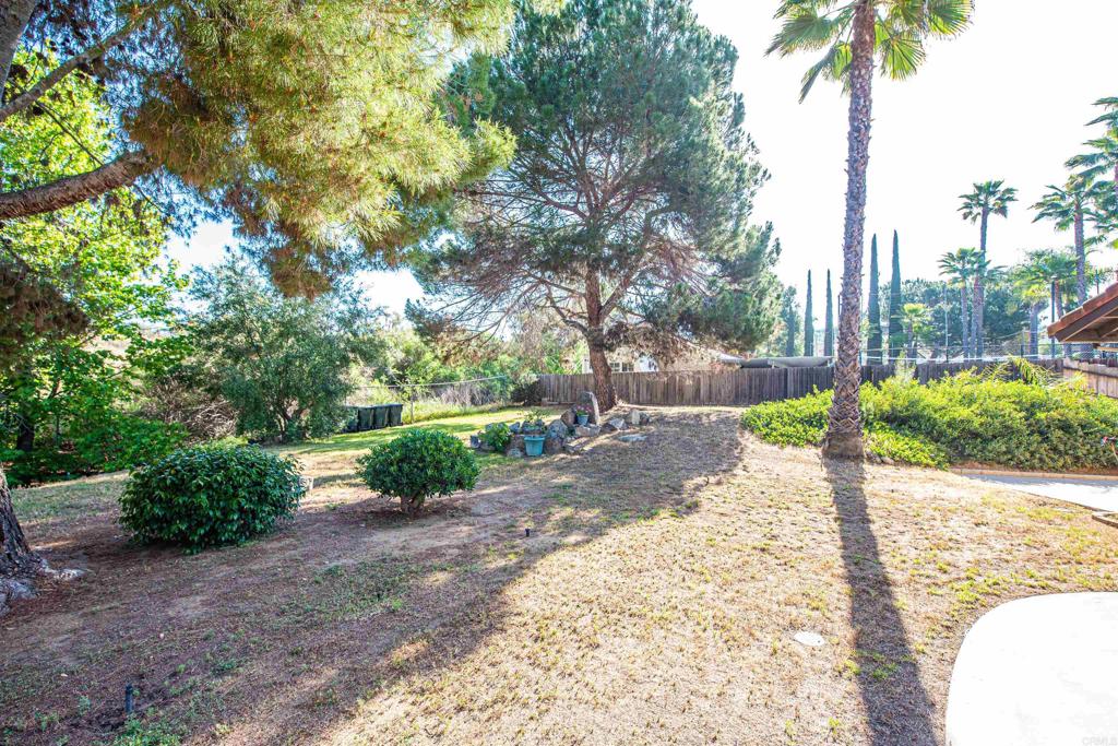 2432 Live Oak Road Escondido, CA 92029 - Photo 59 of 74