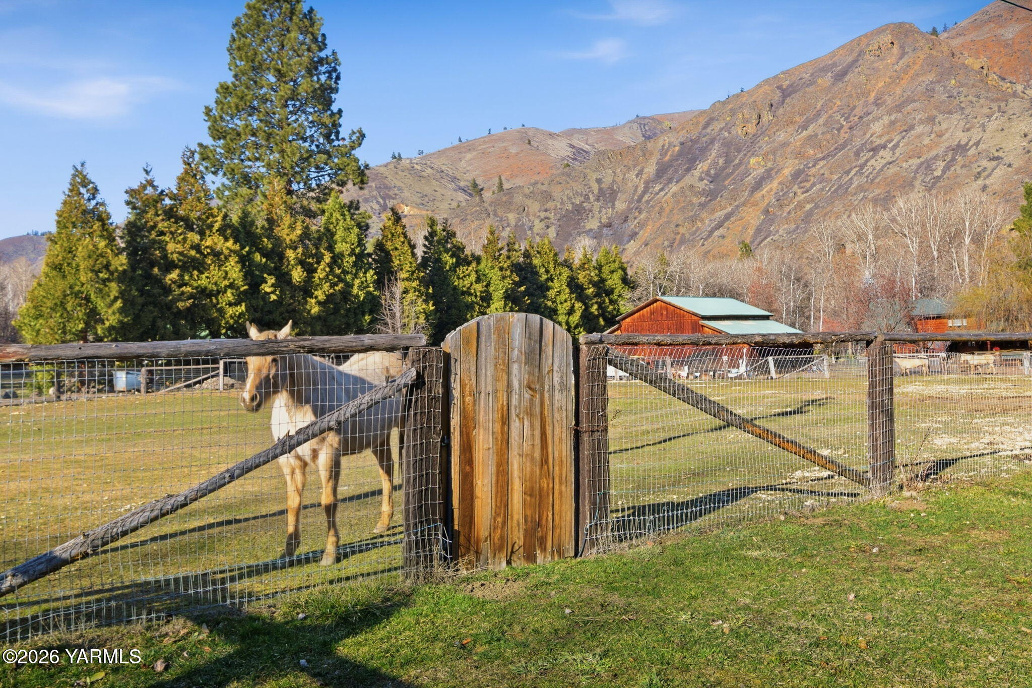 121 Rattlesnake Lane Naches, WA 98937 - Photo 43 of 44 Pasture