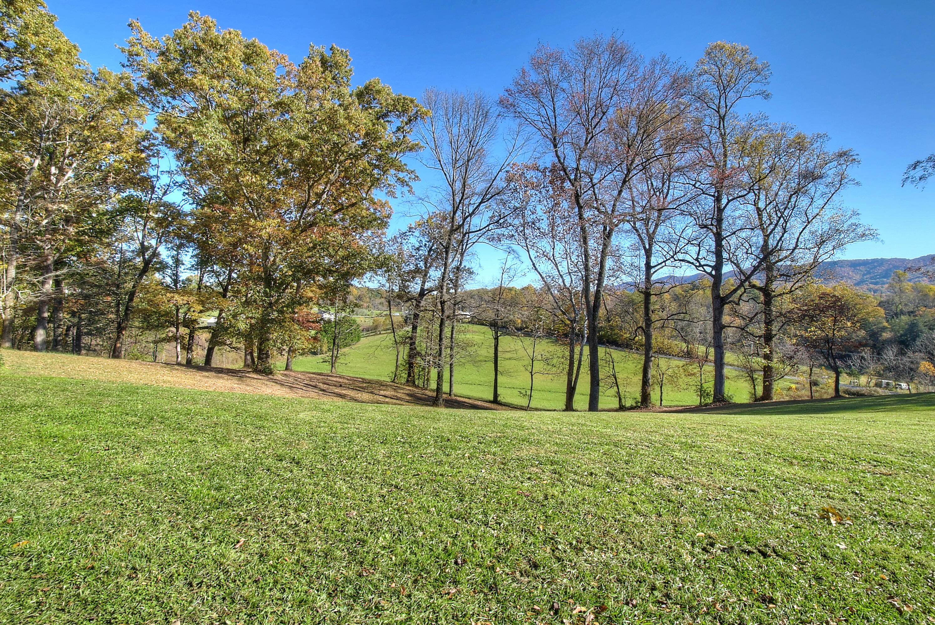 215 Bill Jones Road Jonesborough, TN 37659 - Photo 39 of 64 DSC_0310_1_2_3_4_5
