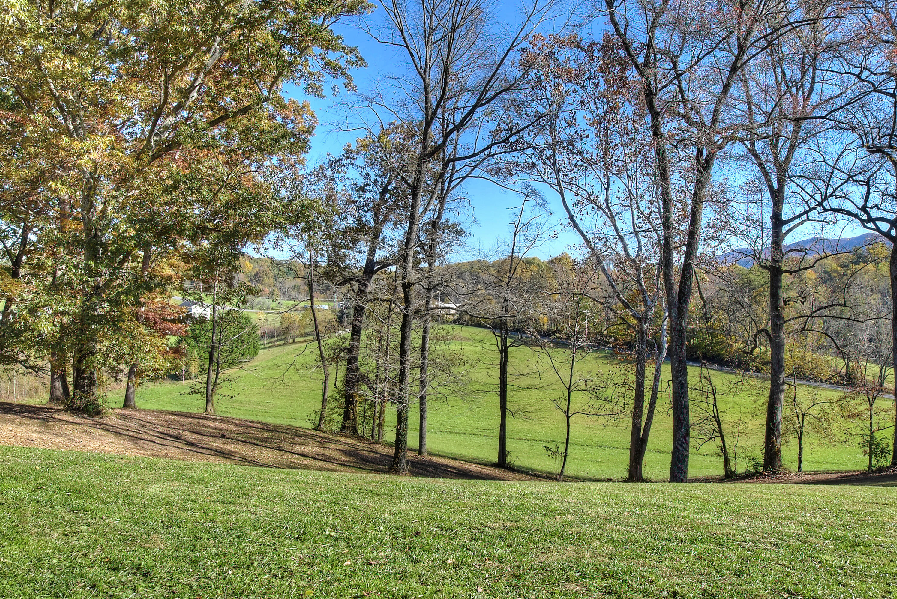 215 Bill Jones Road Jonesborough, TN 37659 - Photo 40 of 64 DSC_0316_17_18_19_20_21