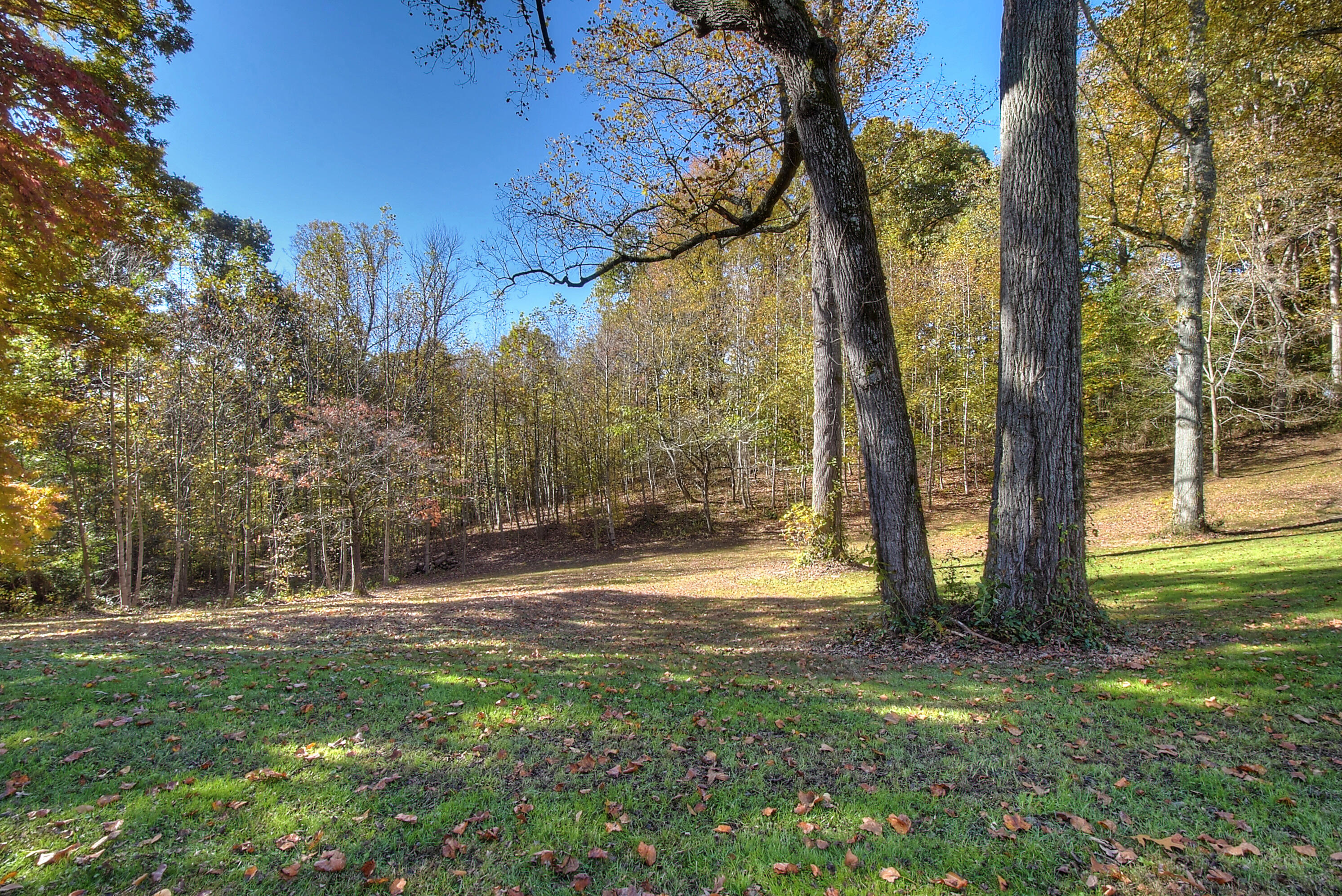215 Bill Jones Road Jonesborough, TN 37659 - Photo 45 of 64 DSC_0346_47_48_49_50_51