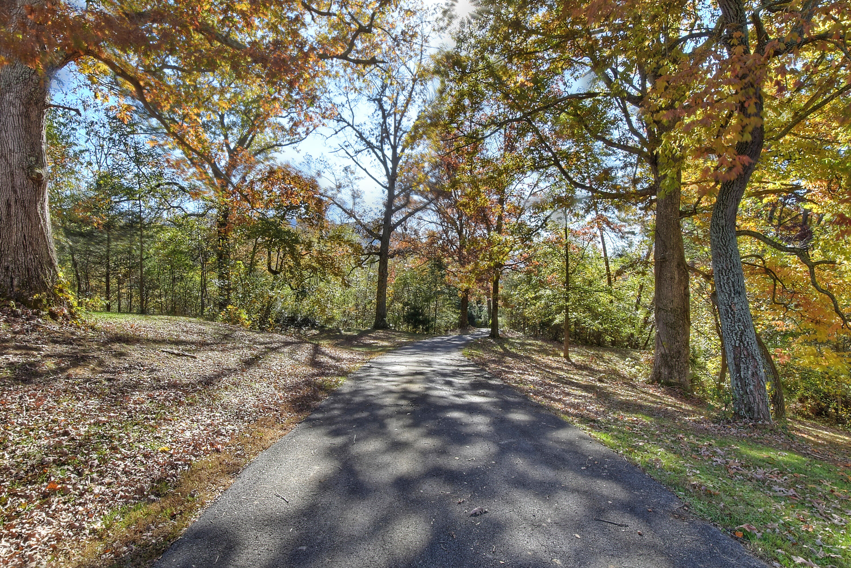 215 Bill Jones Road Jonesborough, TN 37659 - Photo 48 of 64 DSC_0364_5_6_7_8_9