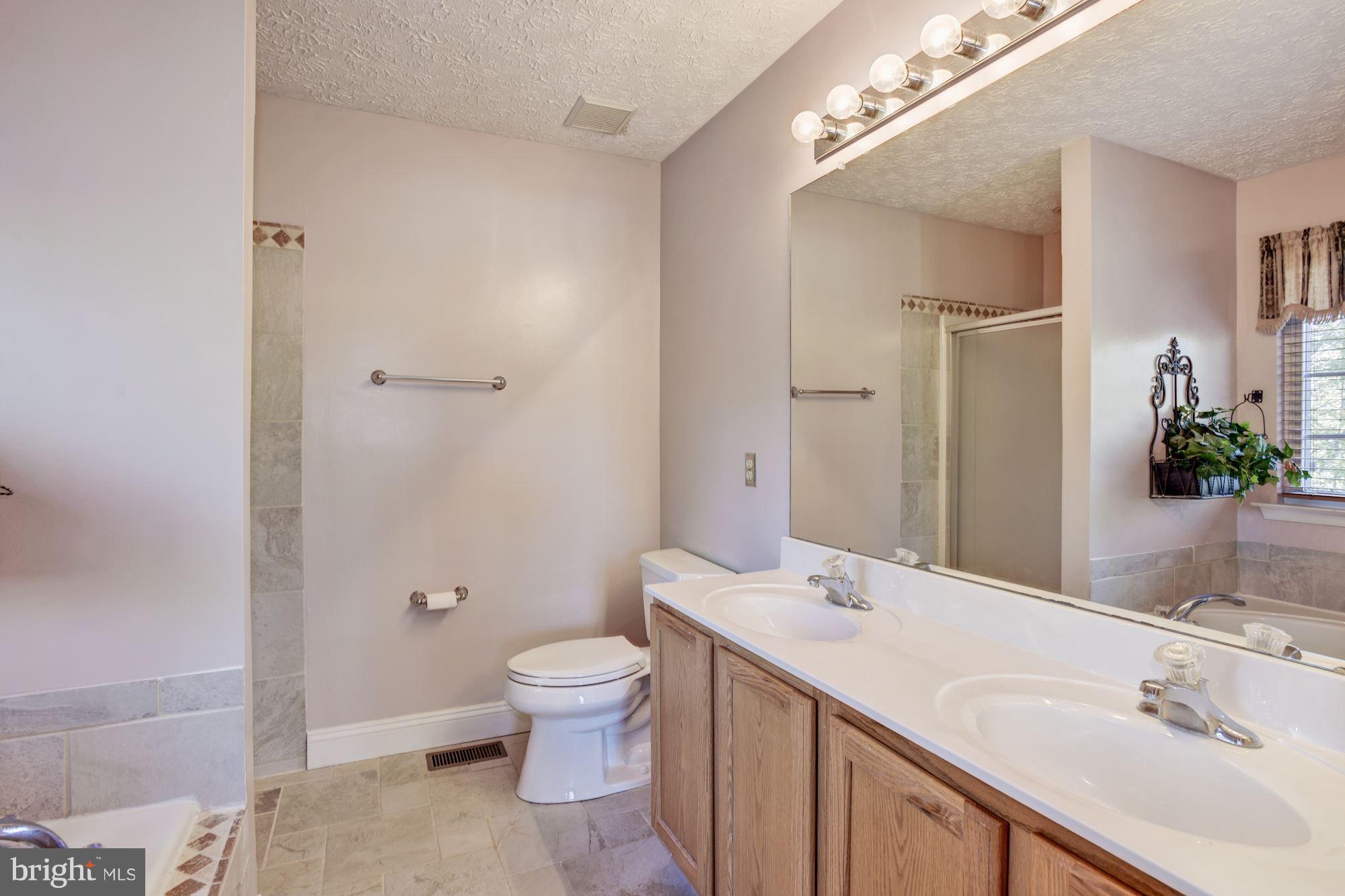 79 Red Toad Road North East, MD 21901 - Photo 15 of 28 Master Bath