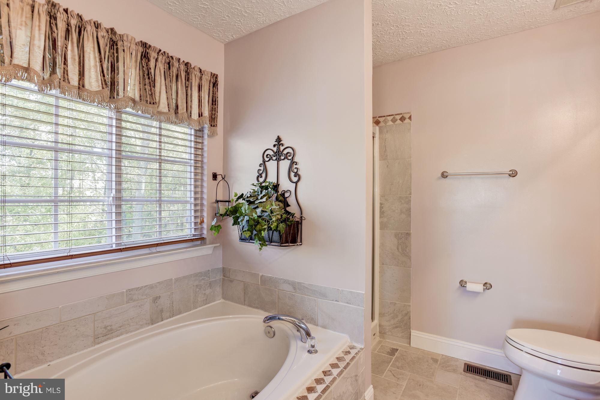 79 Red Toad Road North East, MD 21901 - Photo 16 of 28 Master Bath