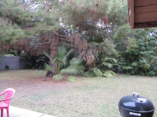 $1,745 | 1719 South El Camino Drive, Tempe, AZ 85281