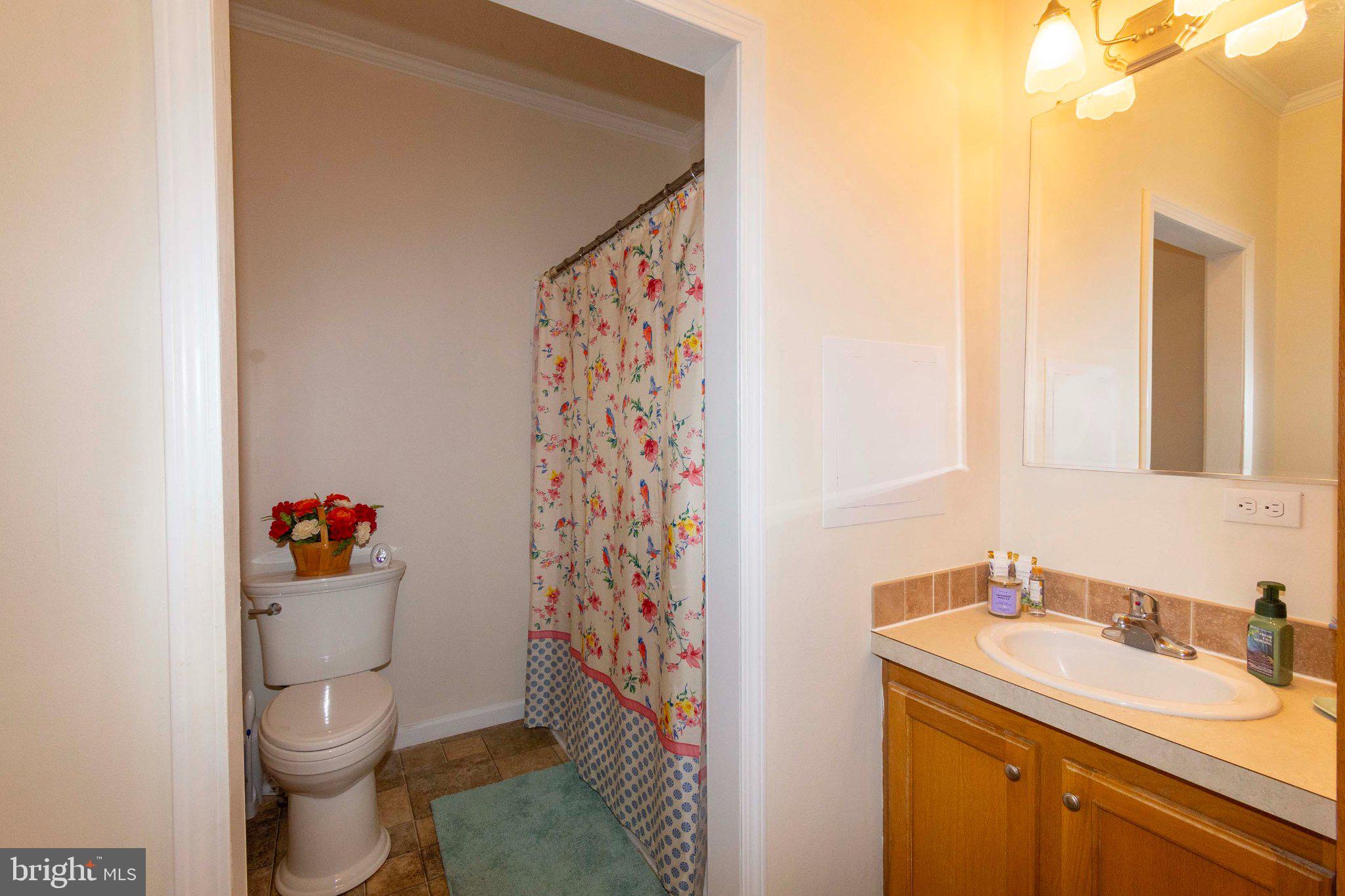18242 Brick Church Road Orange, VA 22960 - Photo 27 of 68 Full Bath