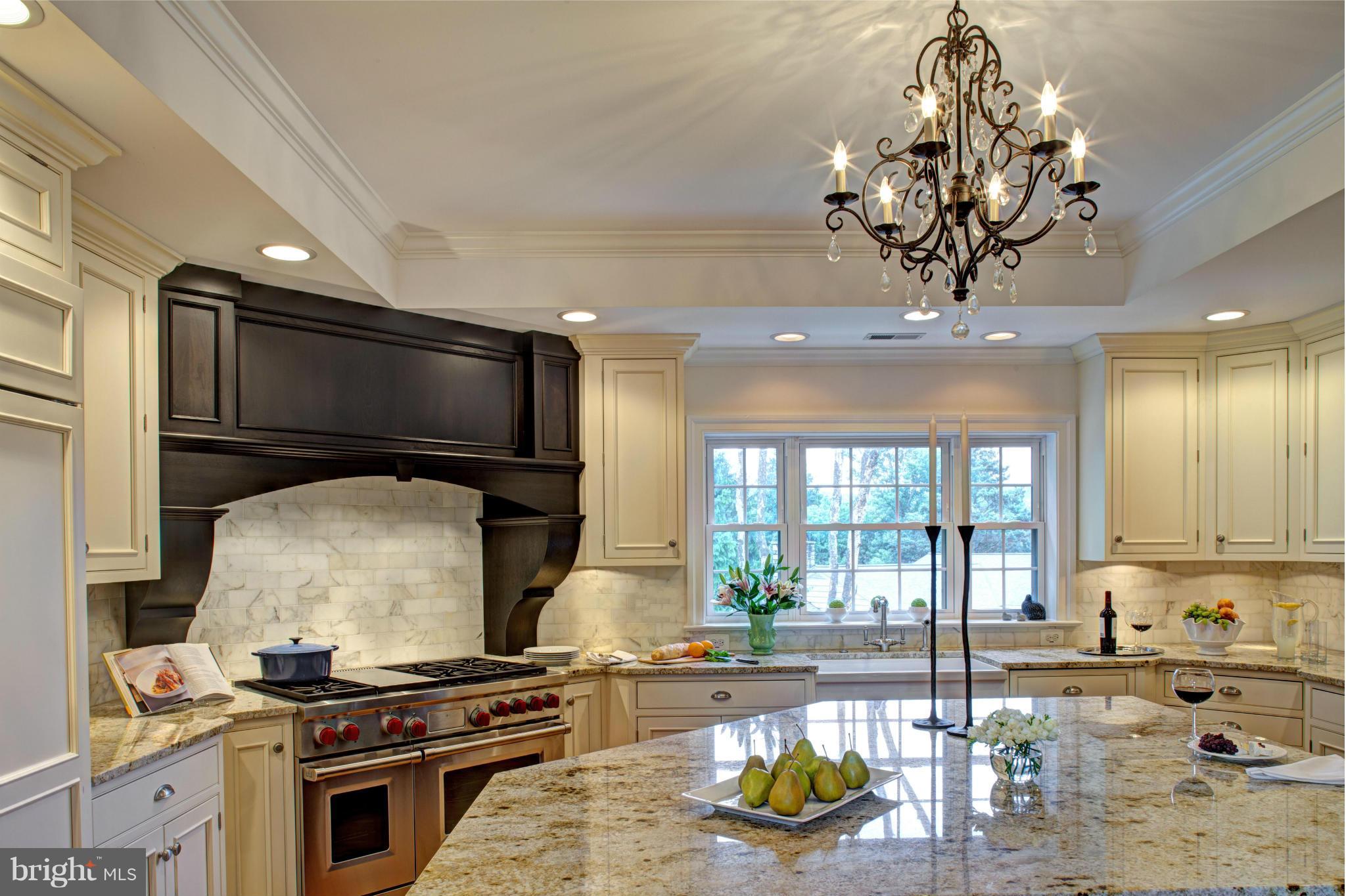 607 St Francis Road Baltimore, MD 21286 - Photo 10 of 30 High end appliances & fisnihses