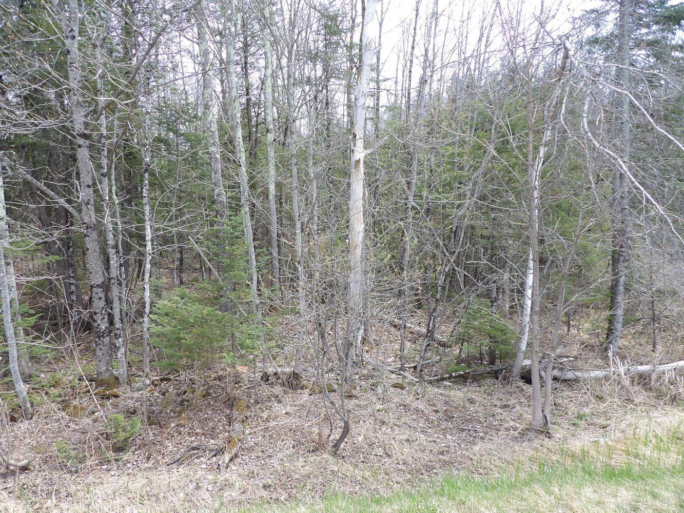 105 Notch Road Skowhegan, ME 04976 - Photo 4 of 10 101_0879