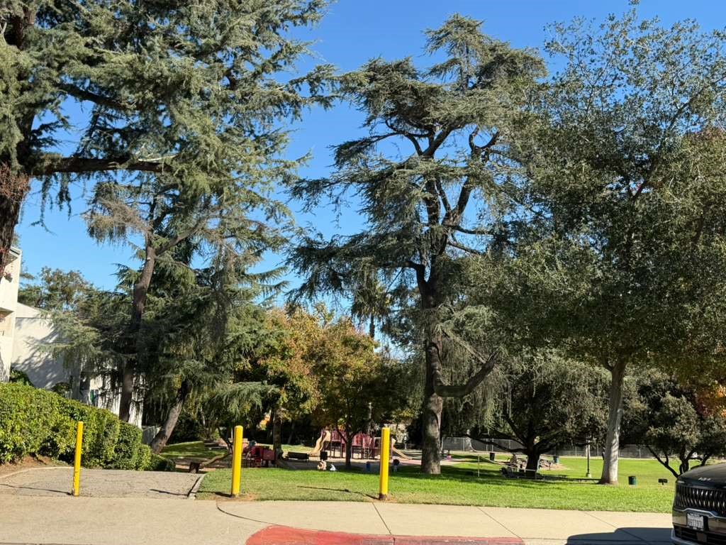 330 North Chapel Avenue, Unit 212 Alhambra, CA 91801 - Photo 10 of 25 a view of a city view