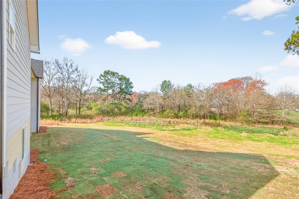 203 Nativity Cove Bethlehem, GA 30680 - Photo 46 of 47