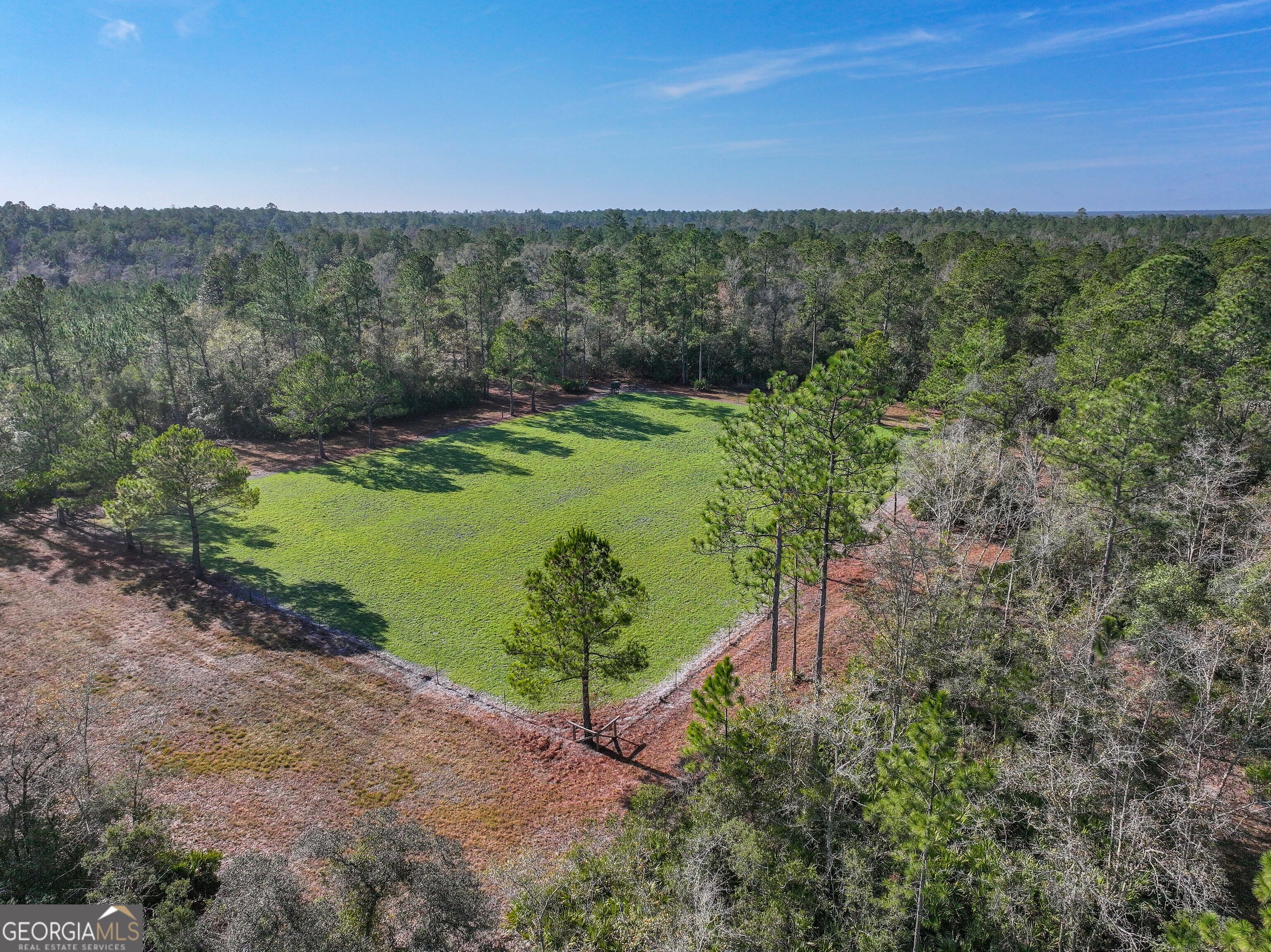 279 Mid River Road White Oak, GA 31568 - Photo 44 of 62 a view of a garden with an outdoor space