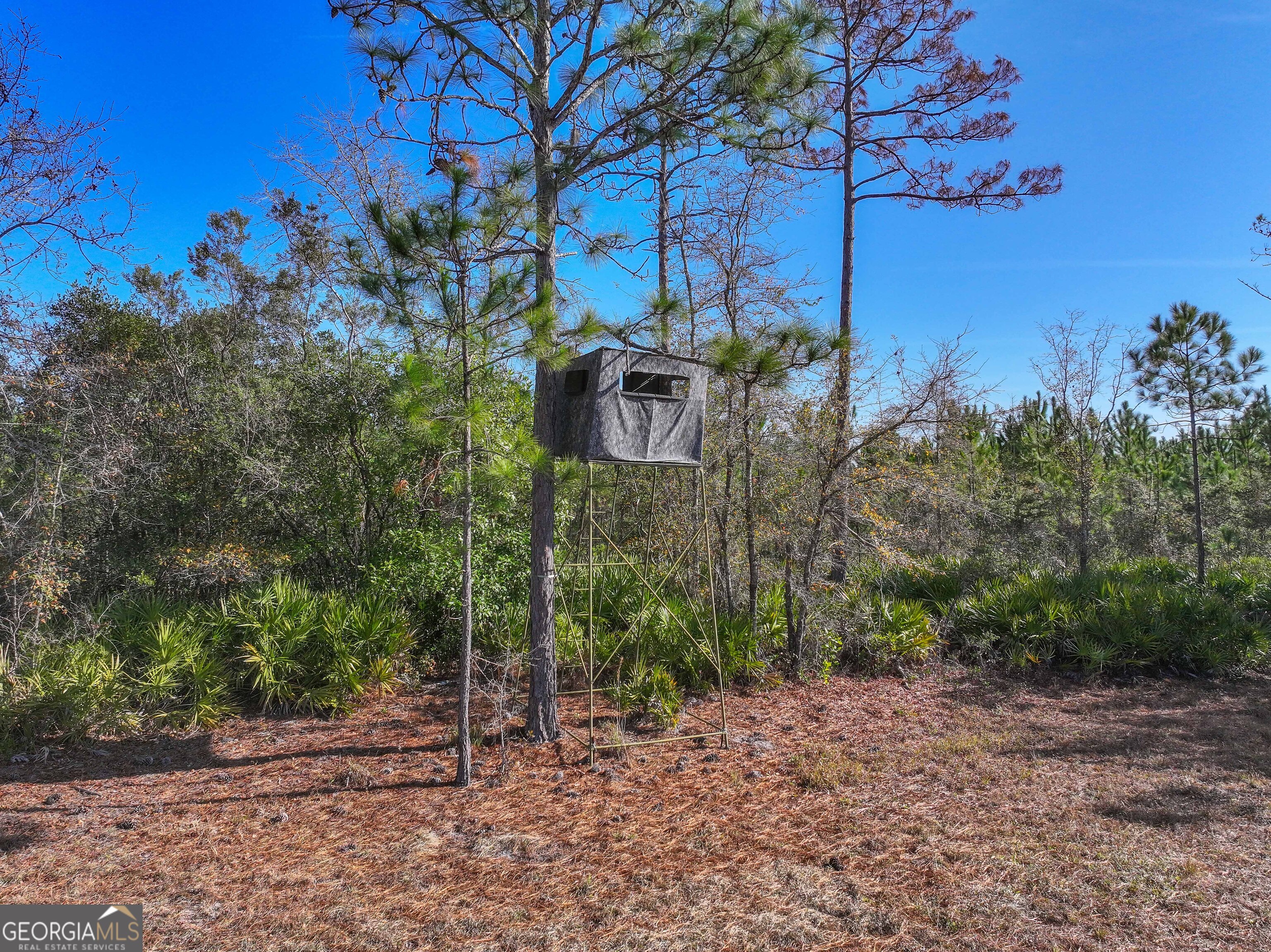 279 Mid River Road White Oak, GA 31568 - Photo 45 of 62