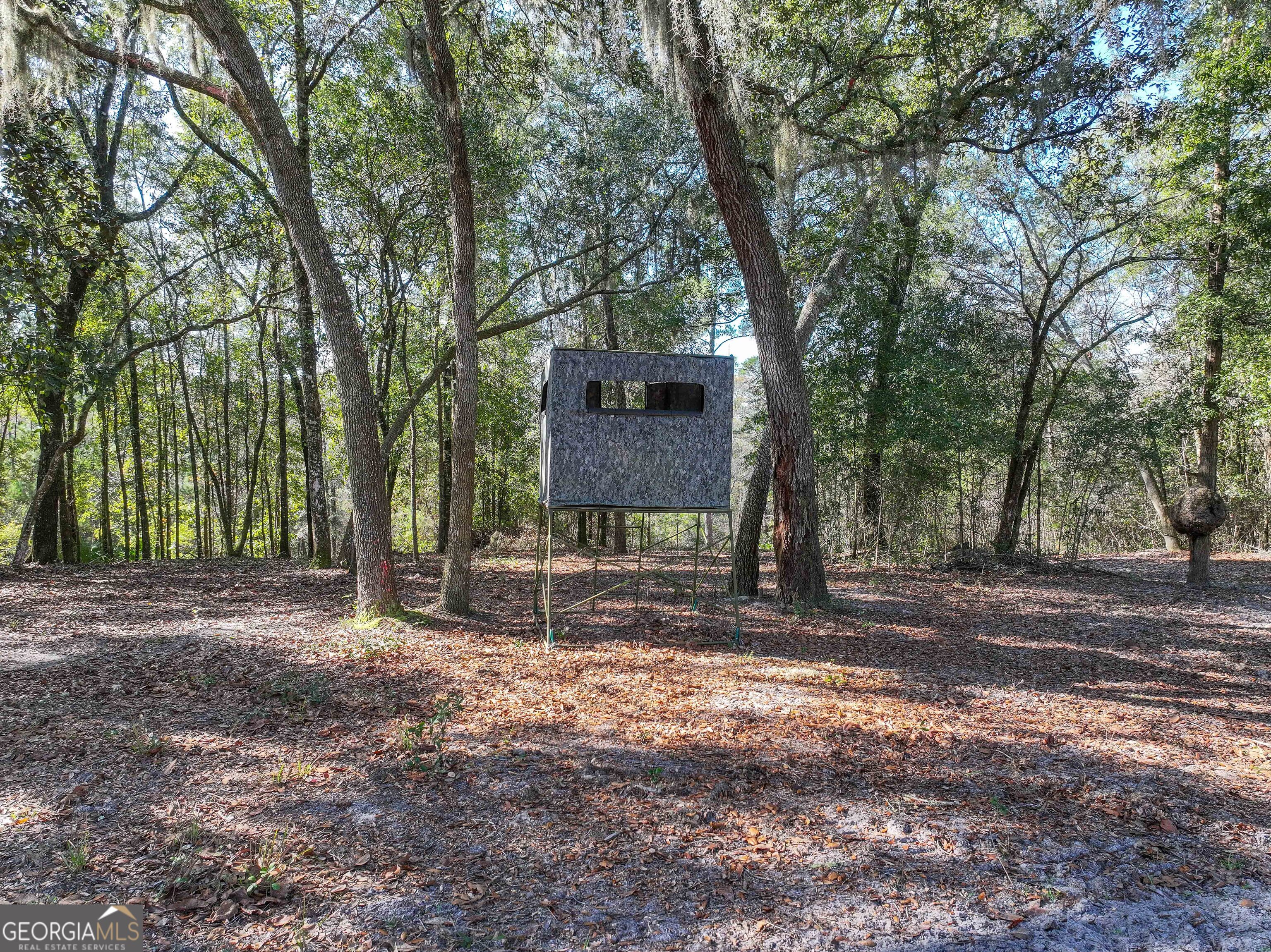 279 Mid River Road White Oak, GA 31568 - Photo 46 of 62 a front view of a house with a tree
