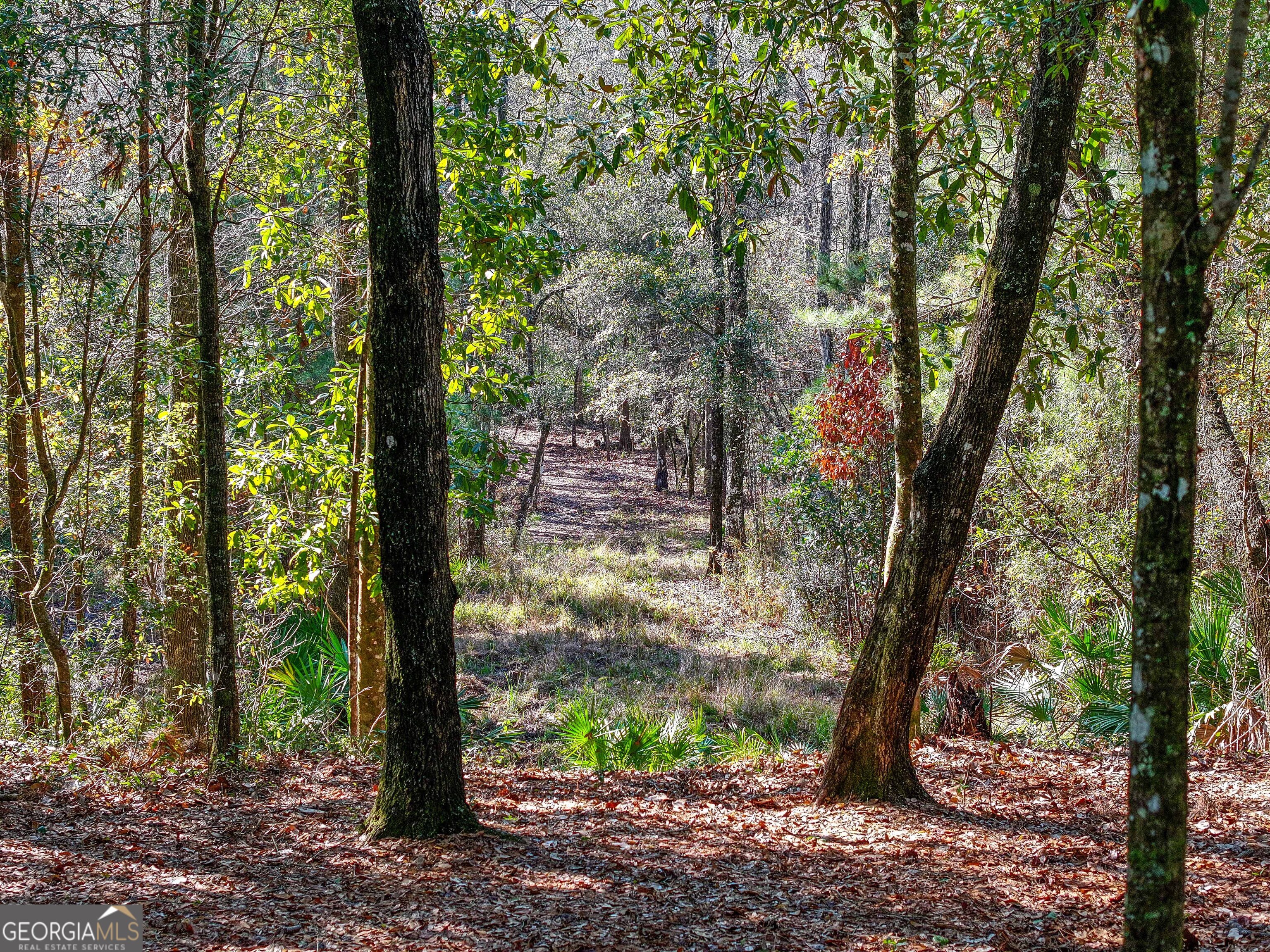 279 Mid River Road White Oak, GA 31568 - Photo 47 of 62 a view of outdoor space