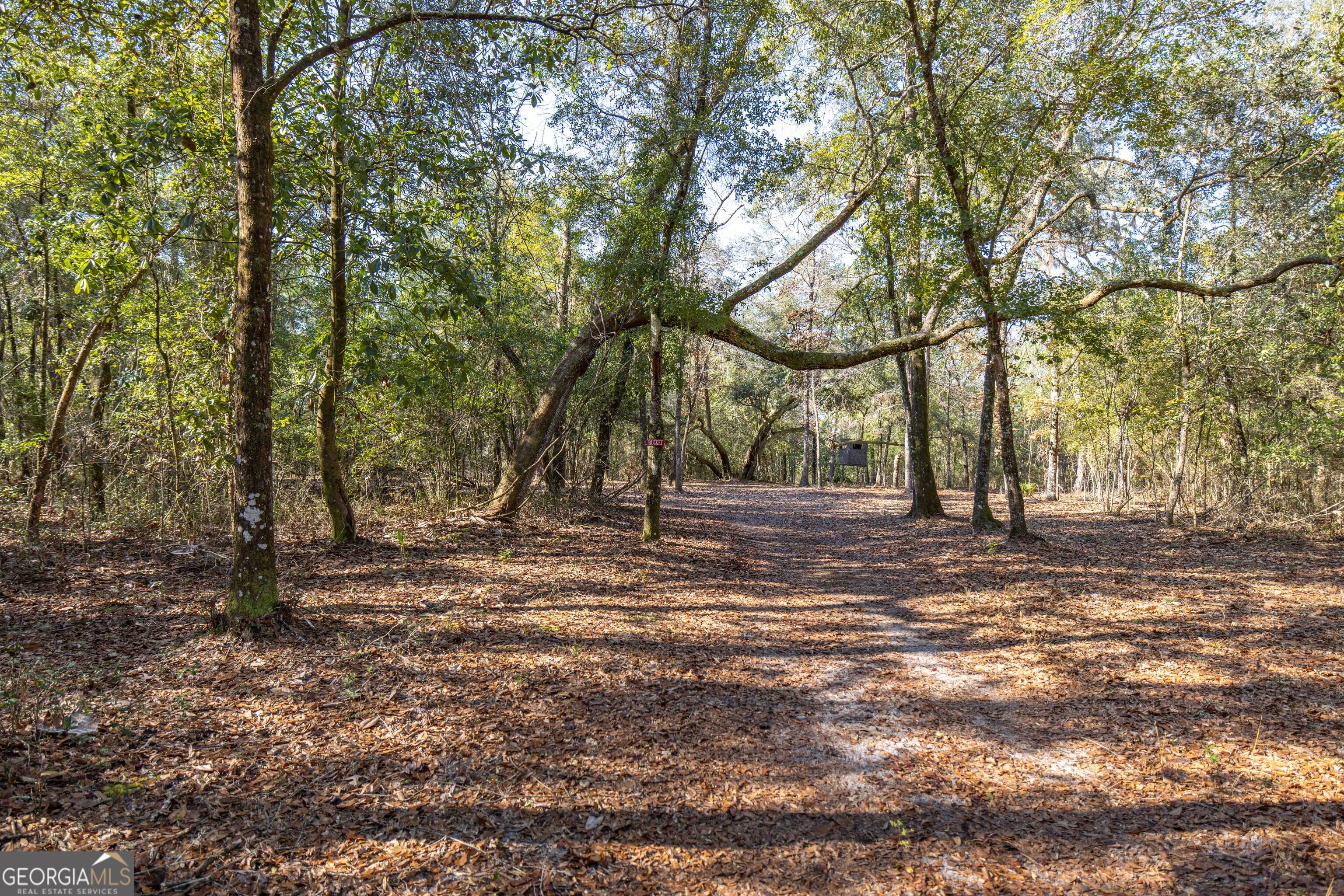 279 Mid River Road White Oak, GA 31568 - Photo 48 of 62