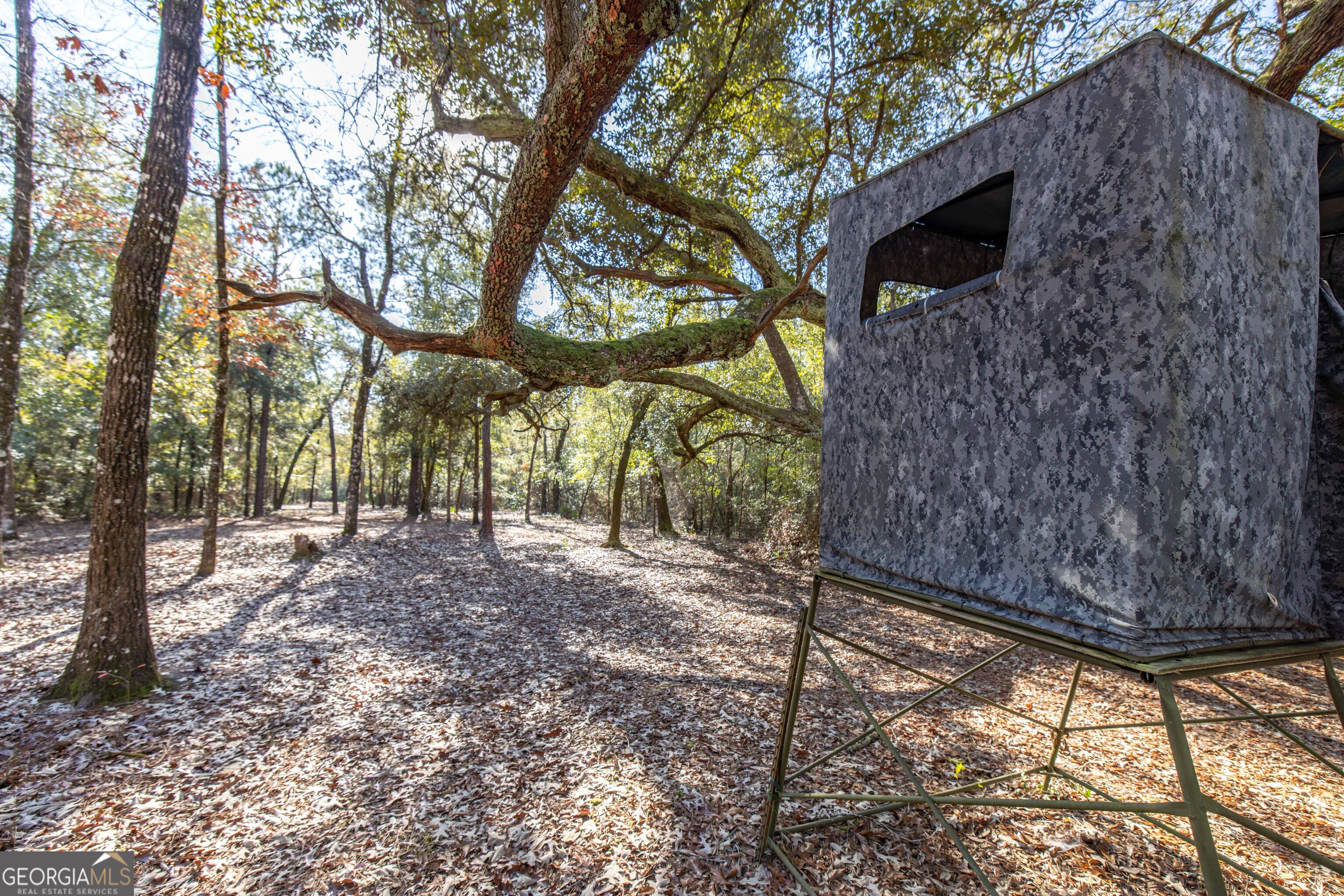 279 Mid River Road White Oak, GA 31568 - Photo 49 of 62 a backyard of a house with large trees and wooden fence