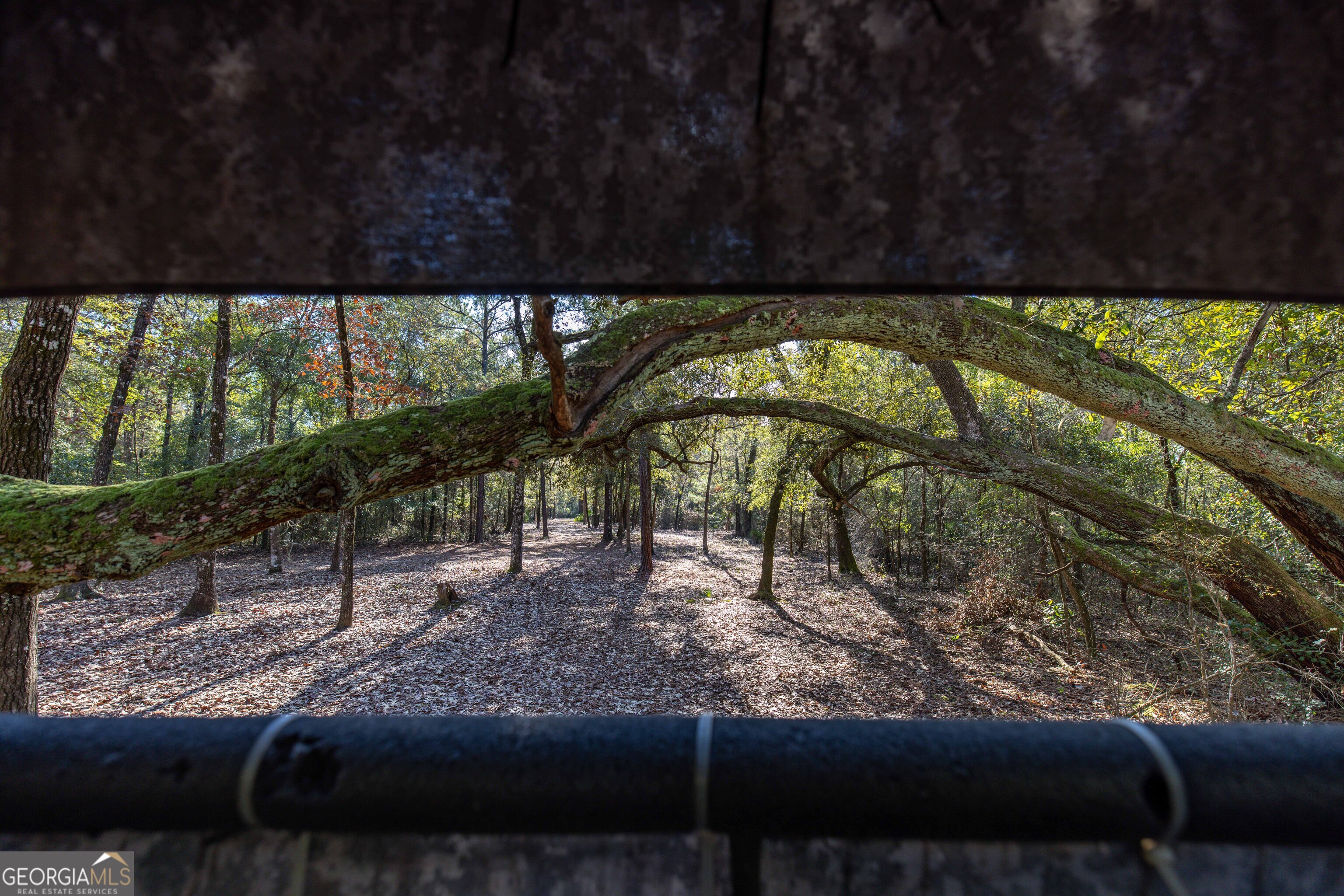 279 Mid River Road White Oak, GA 31568 - Photo 50 of 62 a view of a yard with an outdoor space