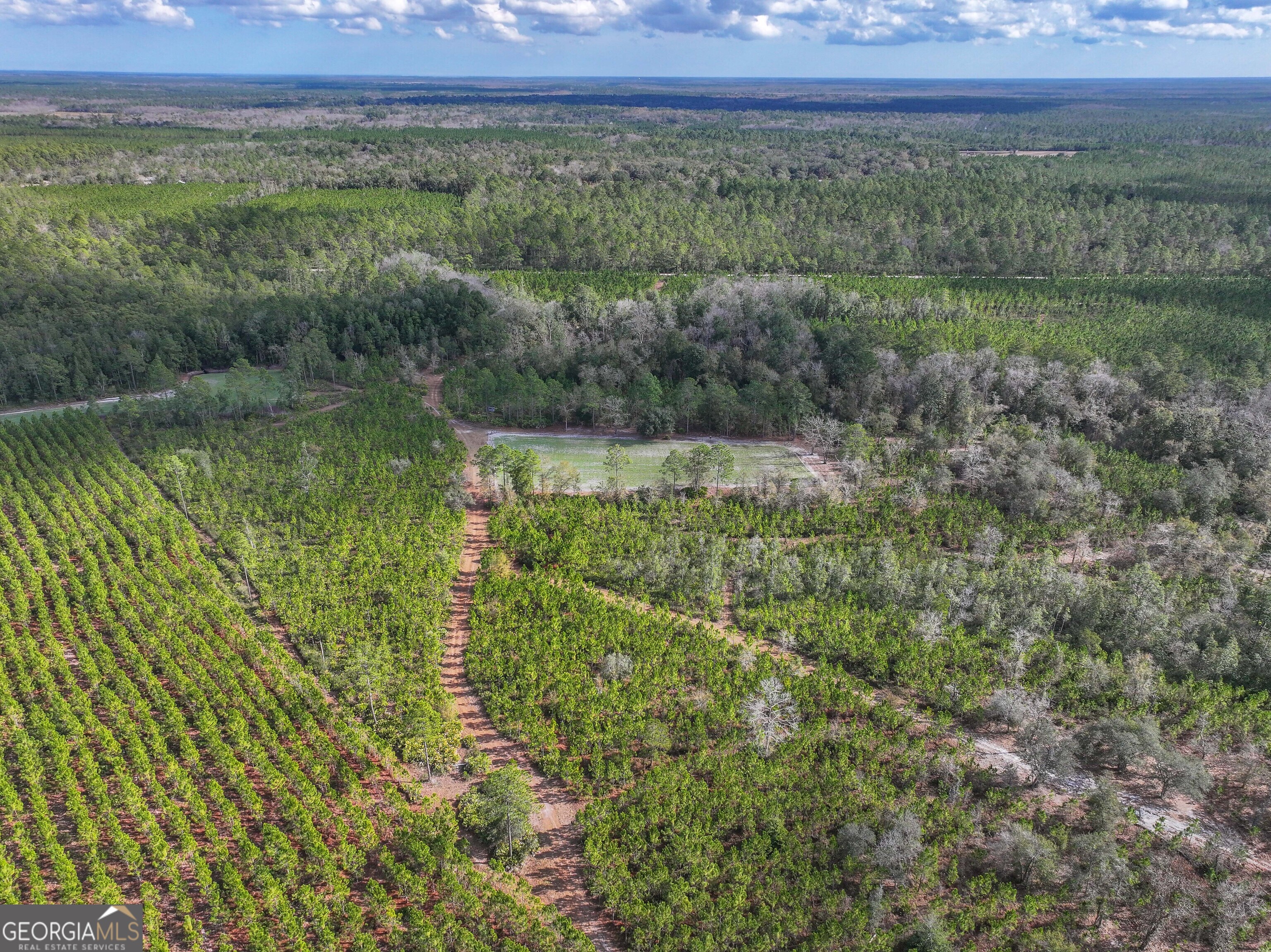 279 Mid River Road White Oak, GA 31568 - Photo 51 of 62 a view of a lush green forest with a lake and mountain view