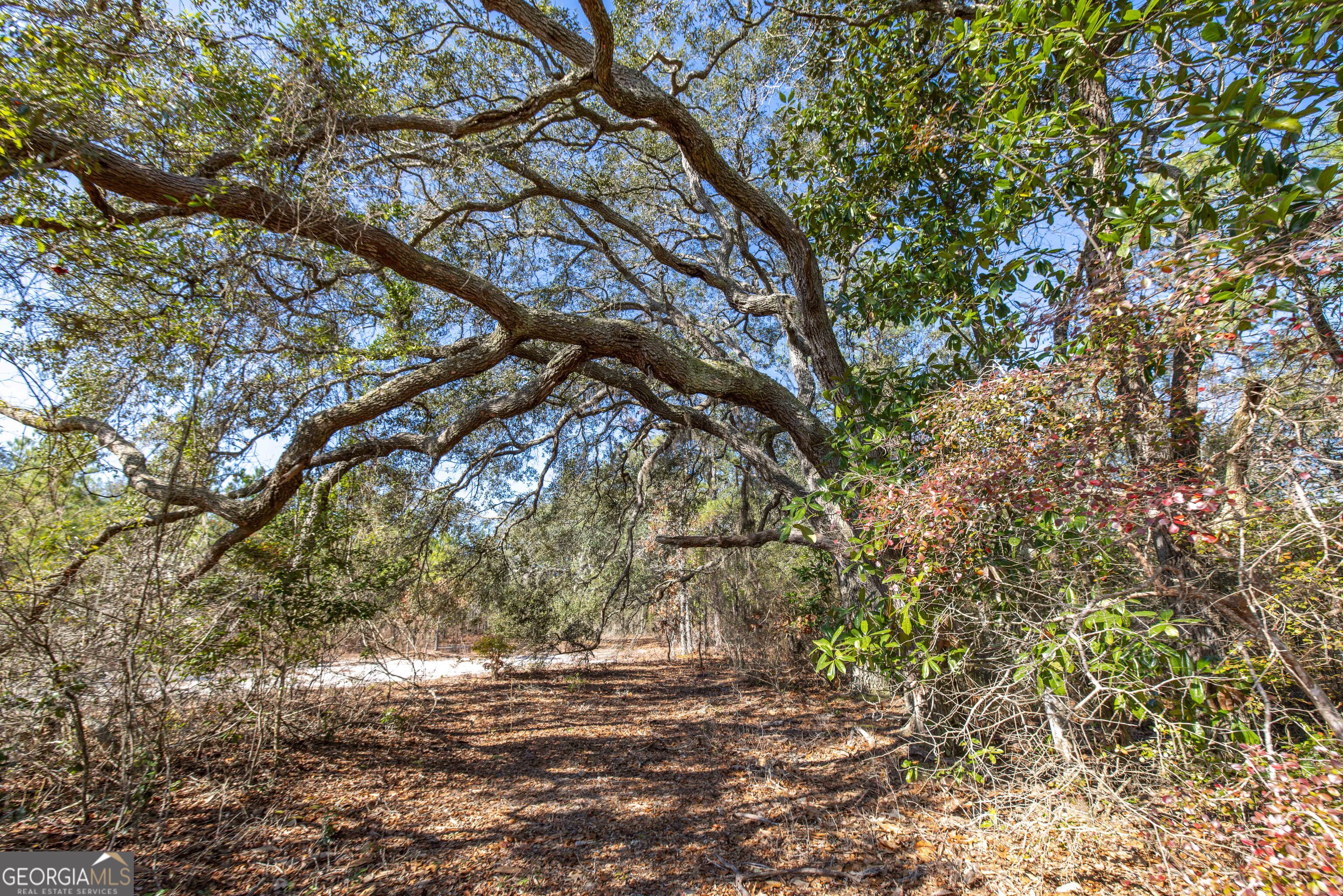 279 Mid River Road White Oak, GA 31568 - Photo 53 of 62