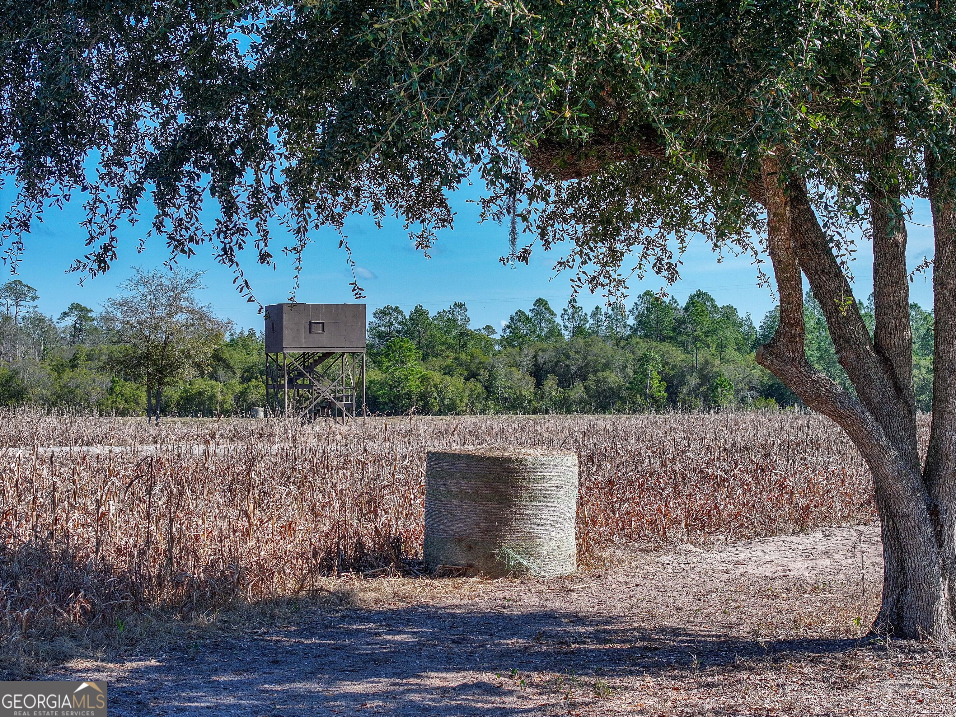 279 Mid River Road White Oak, GA 31568 - Photo 58 of 62 a view of outdoor space and yard