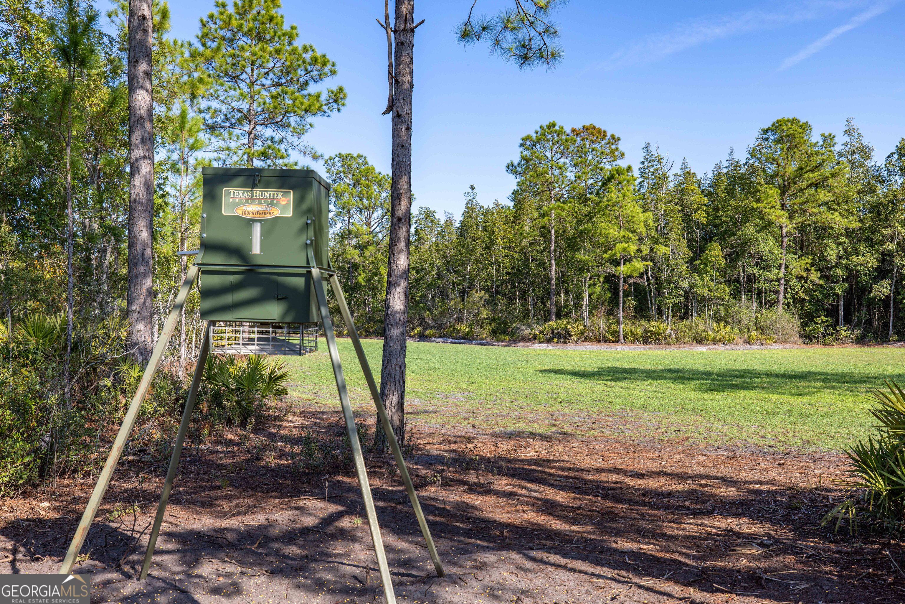 279 Mid River Road White Oak, GA 31568 - Photo 60 of 62 a backyard of a house with lots of green space