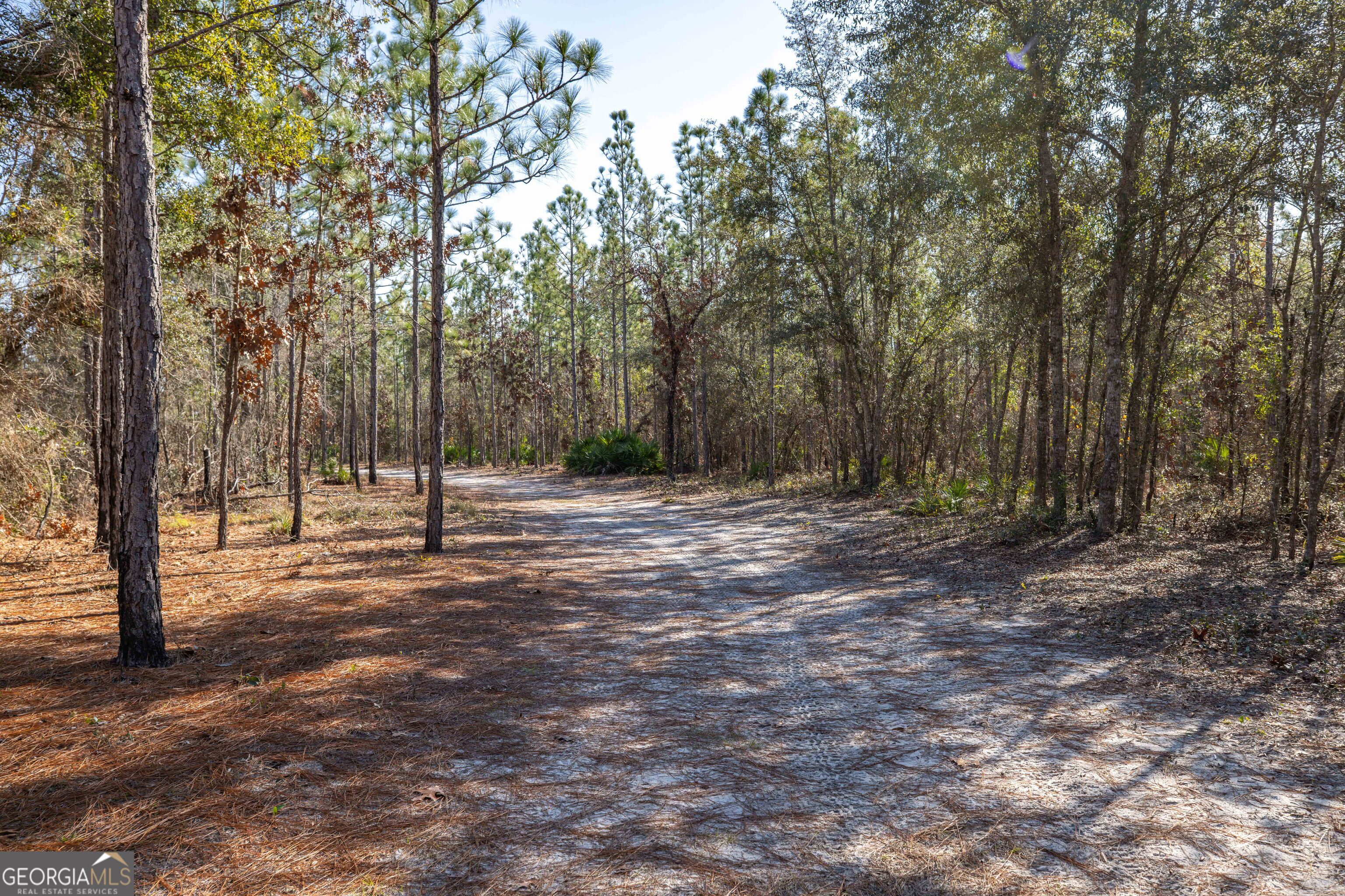 279 Mid River Road White Oak, GA 31568 - Photo 61 of 62