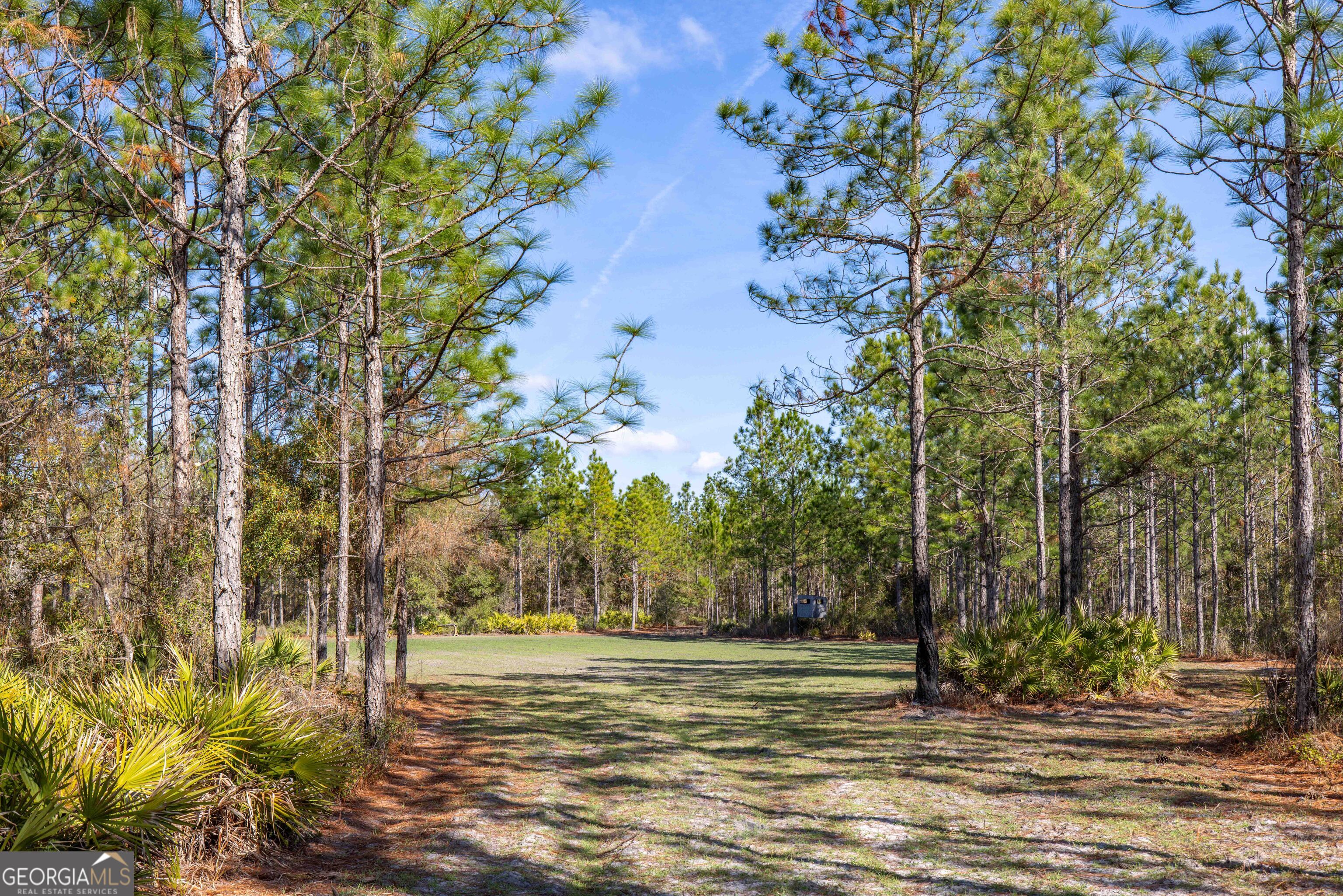 279 Mid River Road White Oak, GA 31568 - Photo 62 of 62 a view of a yard with a tree