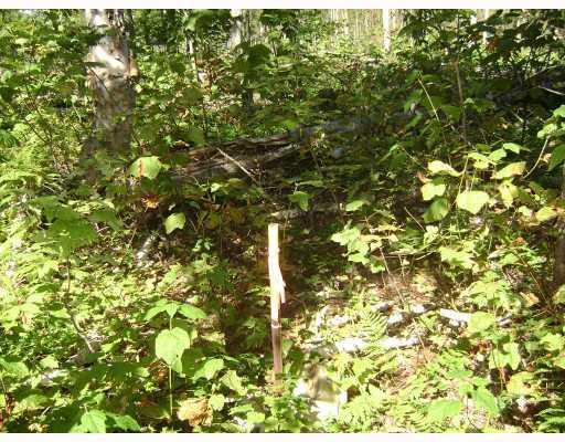 9 Old Rte 201 Jackman, ME 04945 - Photo 3 of 8 Land. Northeast corner