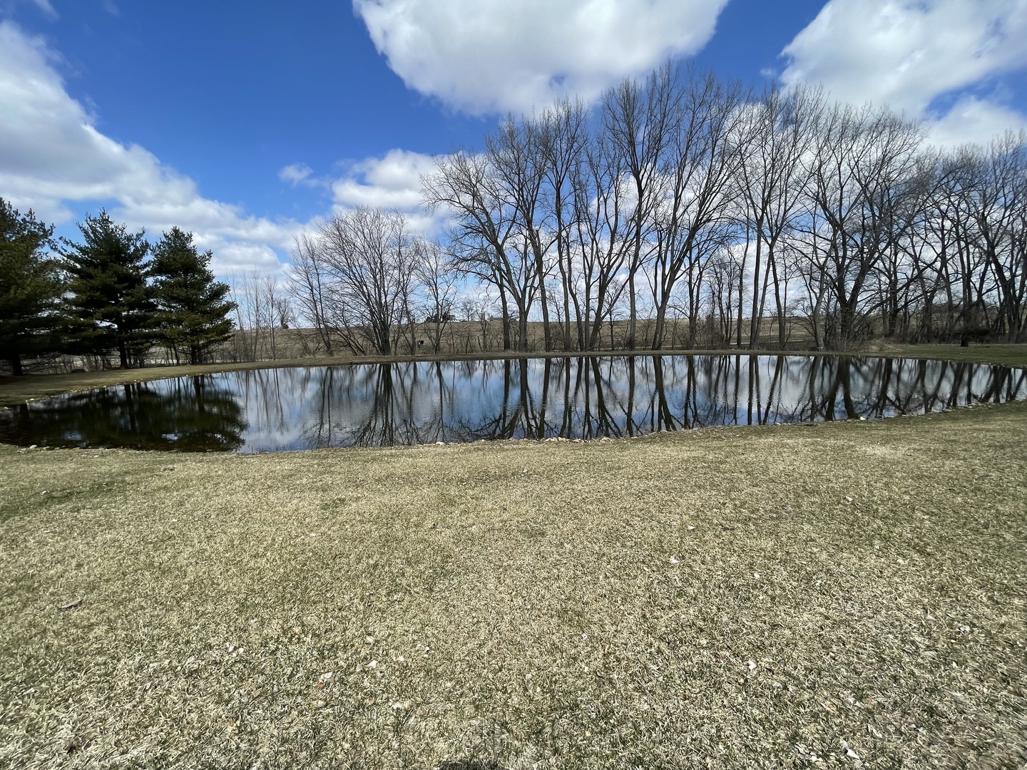 556 Dry Gulch Road Amboy, IL 61310 - Photo 3 of 23 a view of a backyard