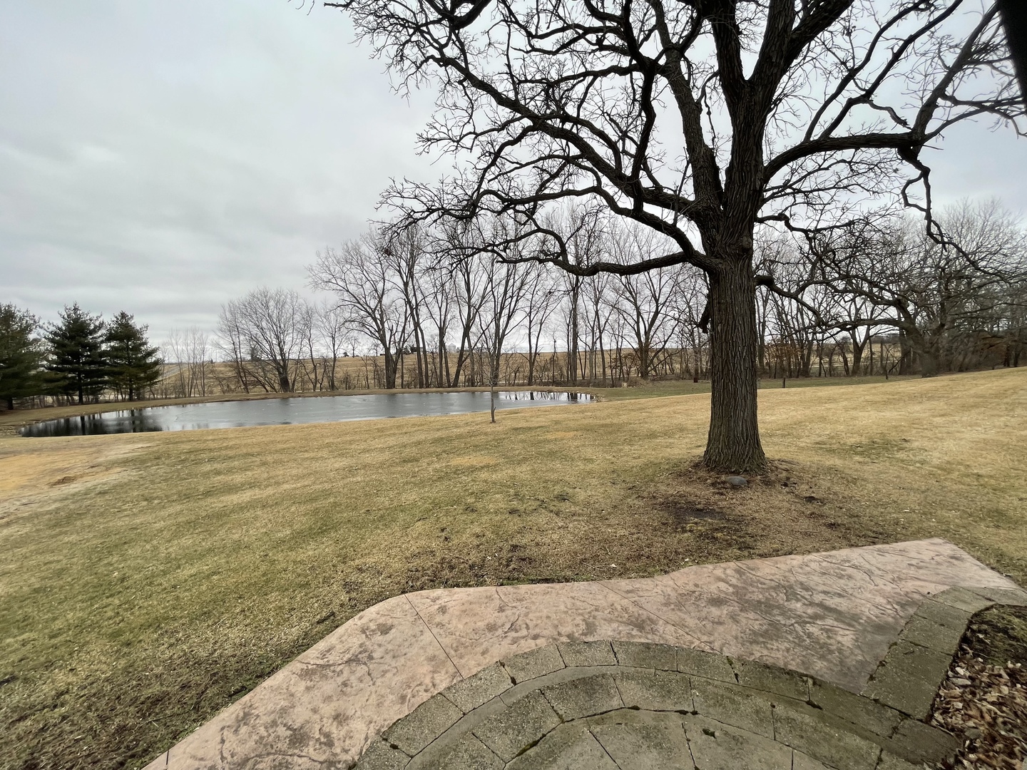 556 Dry Gulch Road Amboy, IL 61310 - Photo 7 of 23 a view of outdoor space with trees