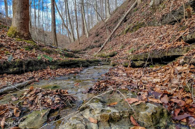 $84,998 | 6.24-acres Hutchins Bend Road, Sparta, TN 38583