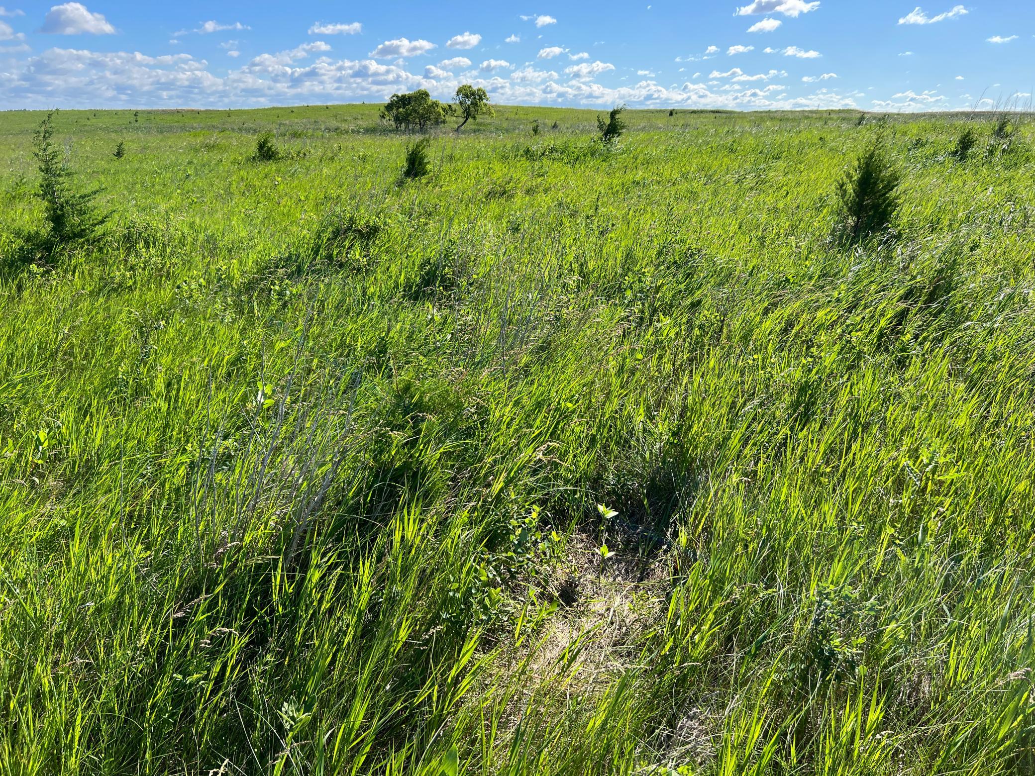 Tbd Southeast Tbd Se 90th Street Rutland, ND 58067 - Photo 47 of 105