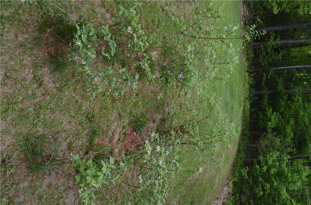 459 Stetson Road Kenduskeag, ME 04450 - Photo 31 of 35 Photo